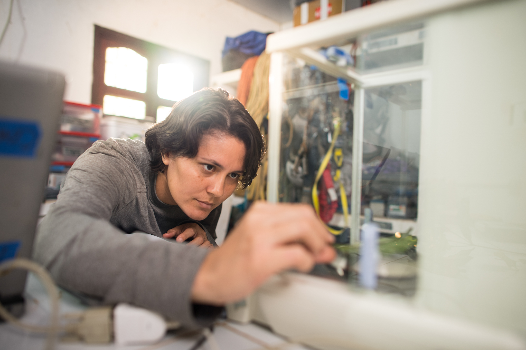 Deliane Penha uses specialized equipment to study gas exchange in individual leaves.