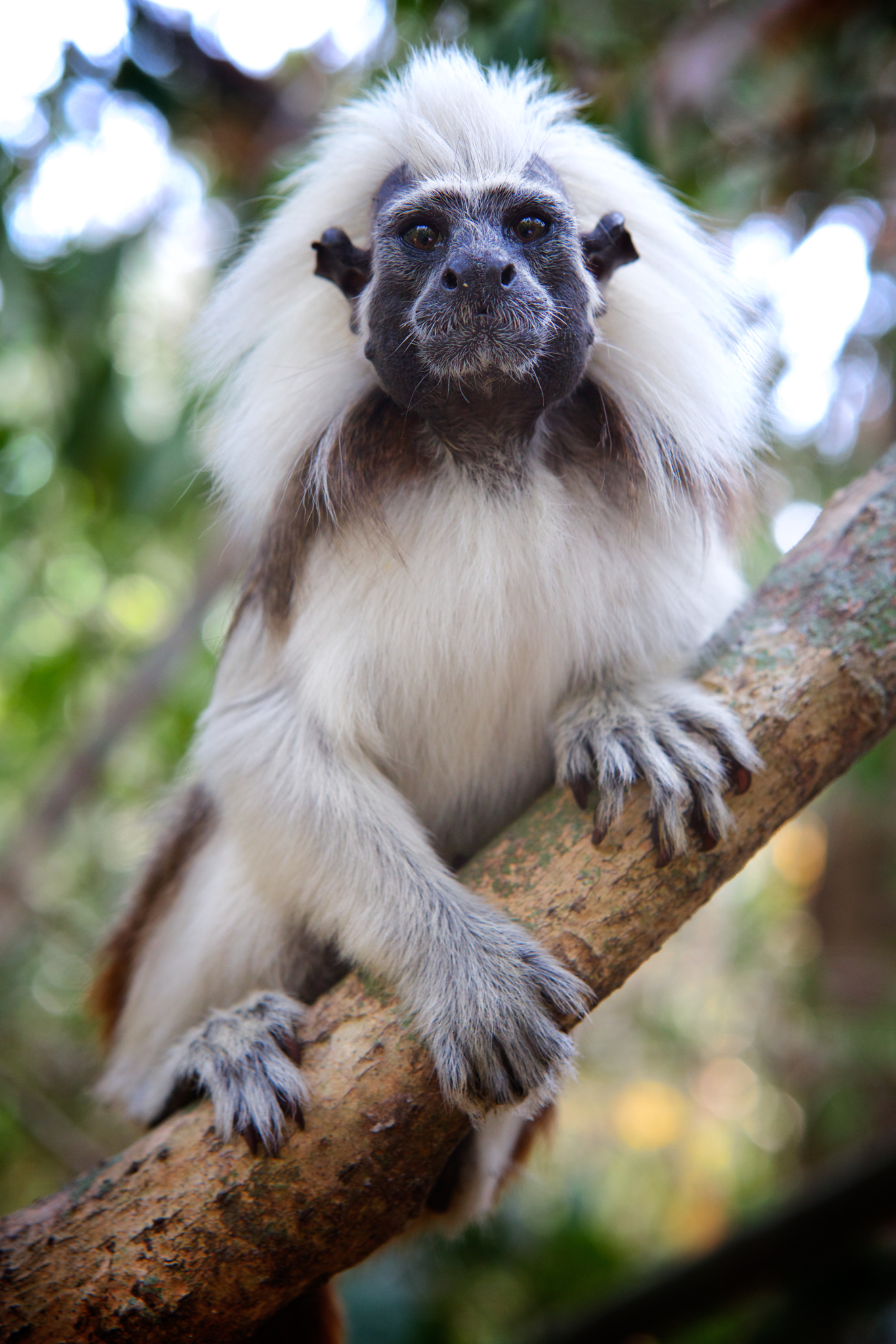 Photo by Ronald de Hommel