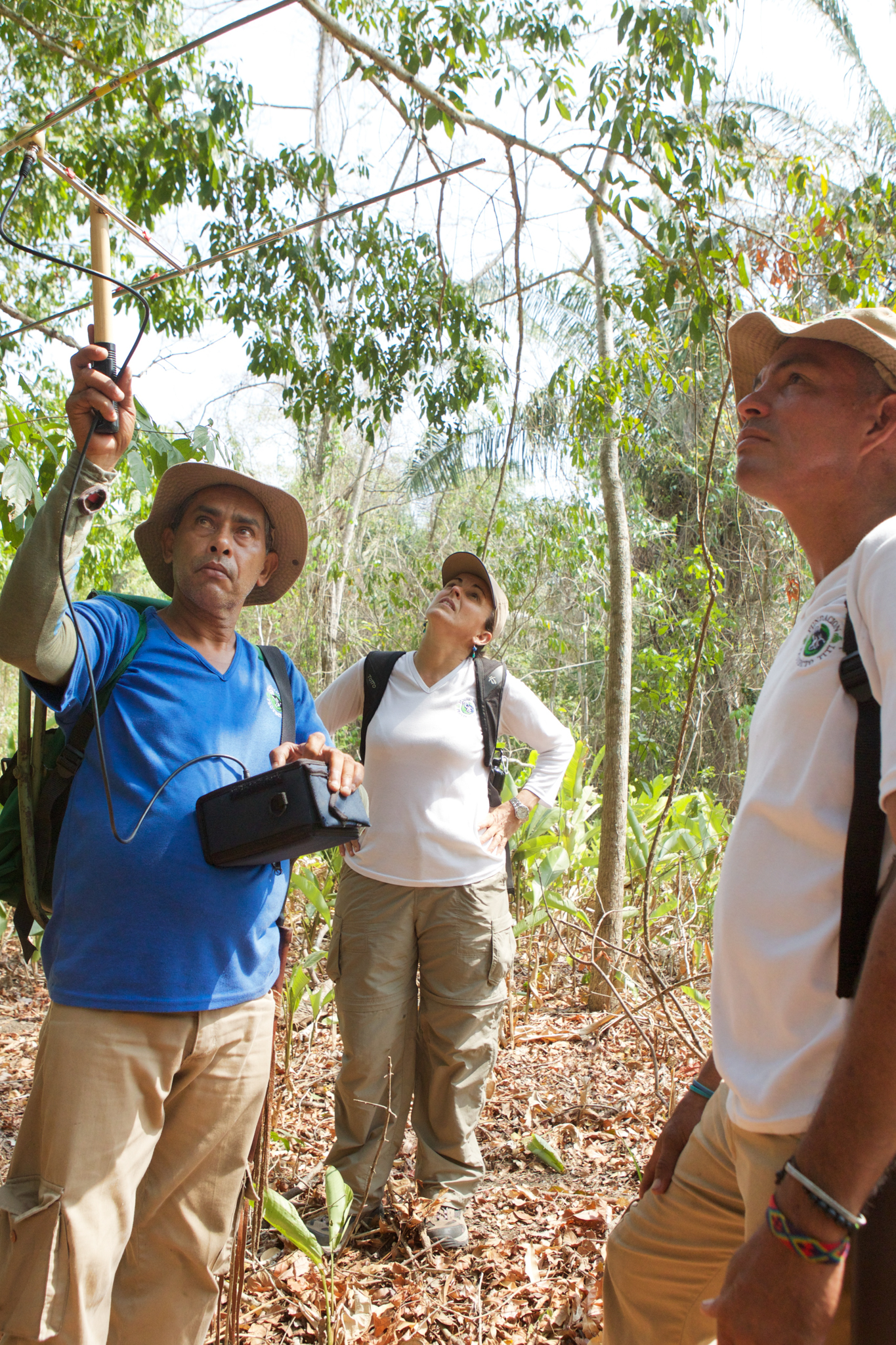 Photo by Ronald de Hommel