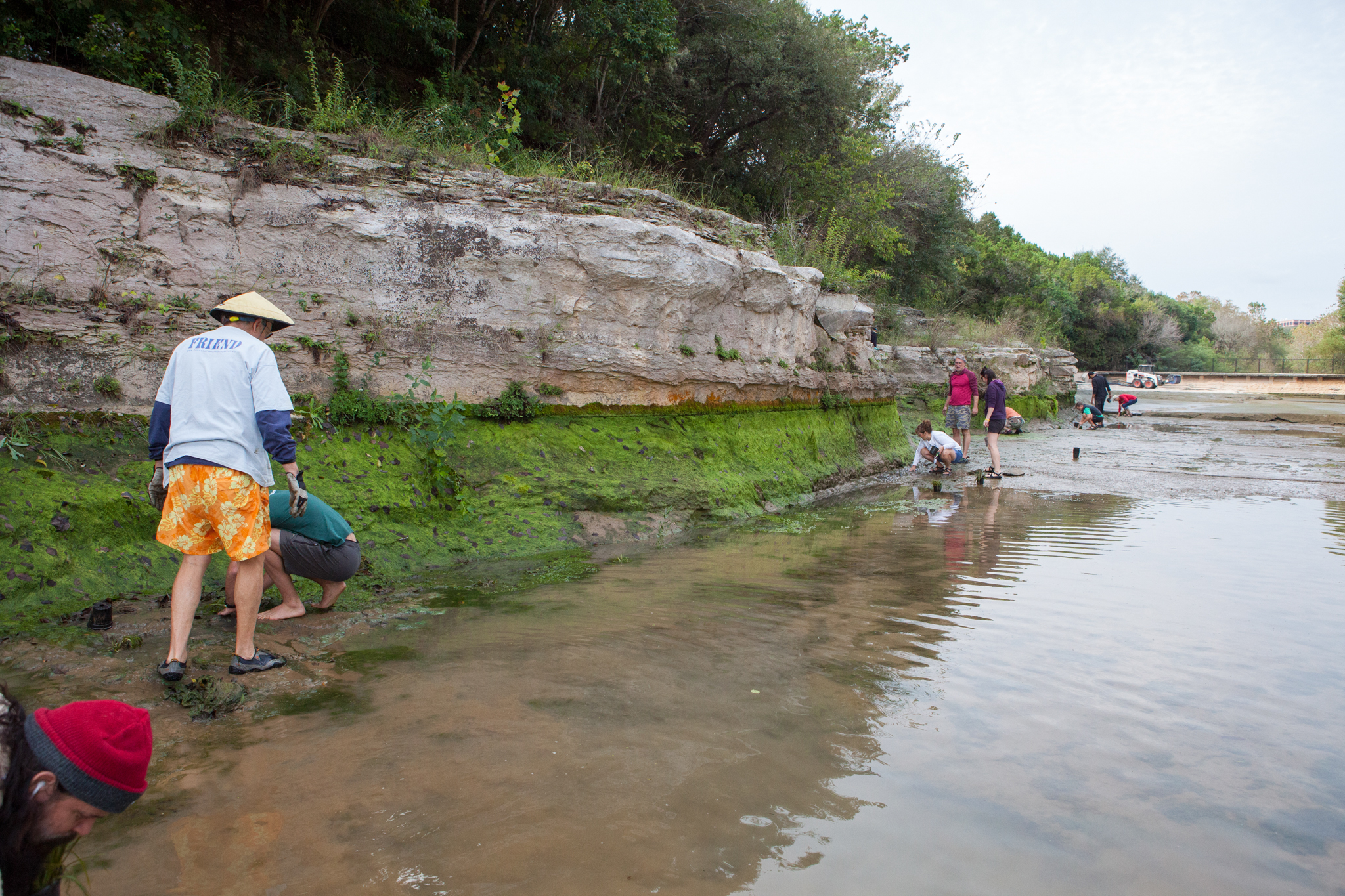 Volunteers take advantage of the lowered water level to plant aquatic vegetation at the pool, which can help keep the water clean and clear. Among them is Bill Bunch (in the pink shirt) who has been fighting to protect the pool, the springs, and the salamanders for decades.