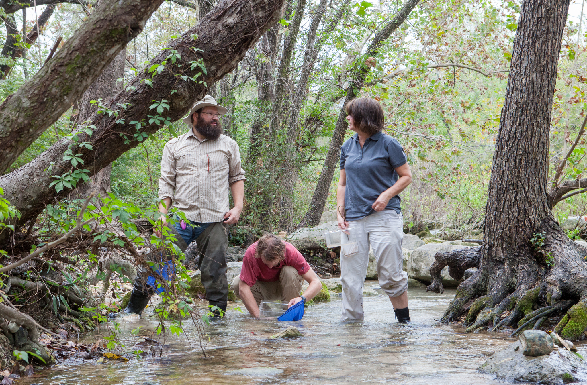 Bendik (L), Nissen, and Chamberlain (R) check for salamanders at the one spring site in Zilker Park where humans haven’t extensively modified the surrounding landscape. A couple hundred years ago, this is likely how Barton Springs Pool would have looked.