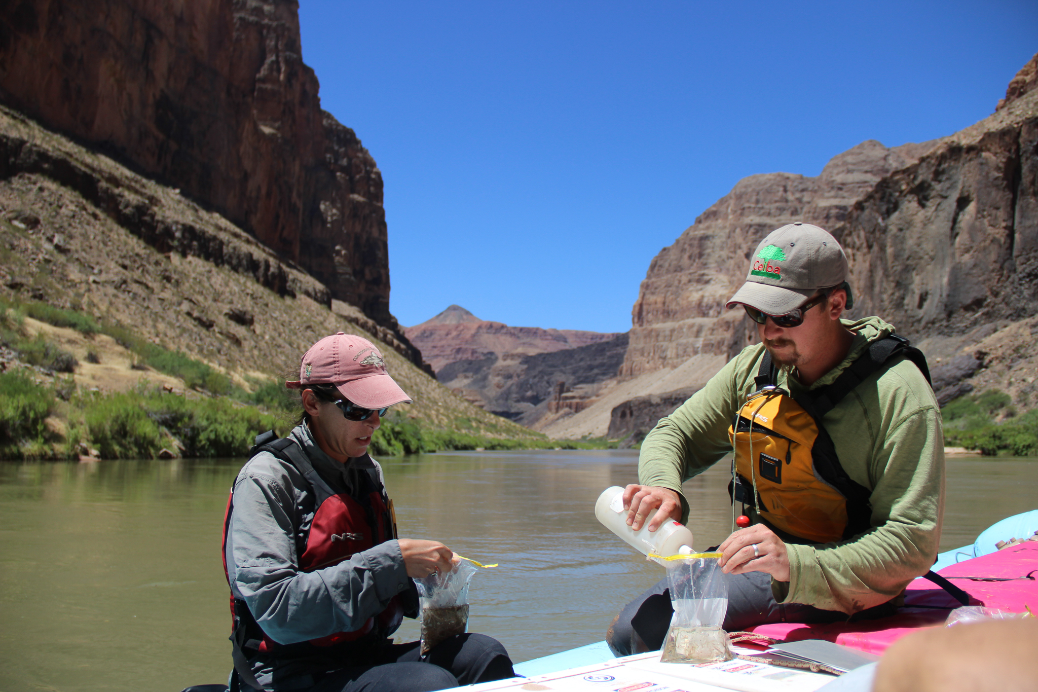 Eliza Gilbert and Adam Barkalow use a chemical preservative to prepare larval samples for identification back in the laboratory.