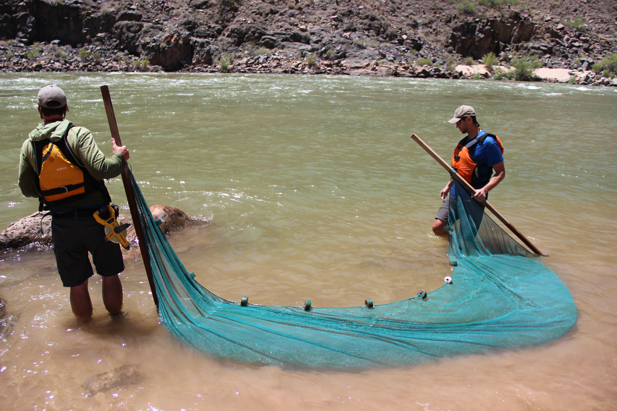 Adam Barkalow (left) and the author pull a seine along a sandy stretch of Colorado River bottom.