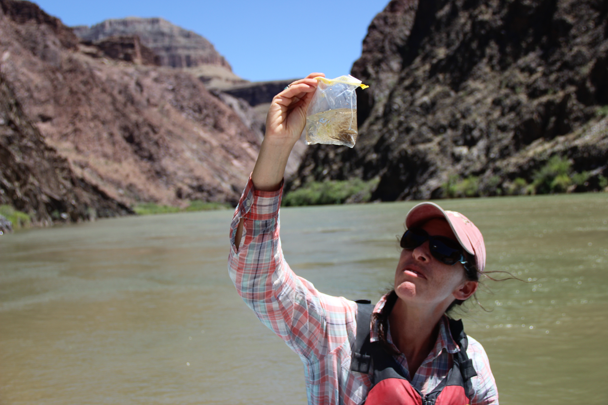 Fish biologist Eliza Gilbert inspects larval fish specimens prior to preparing them for laboratory analysis.