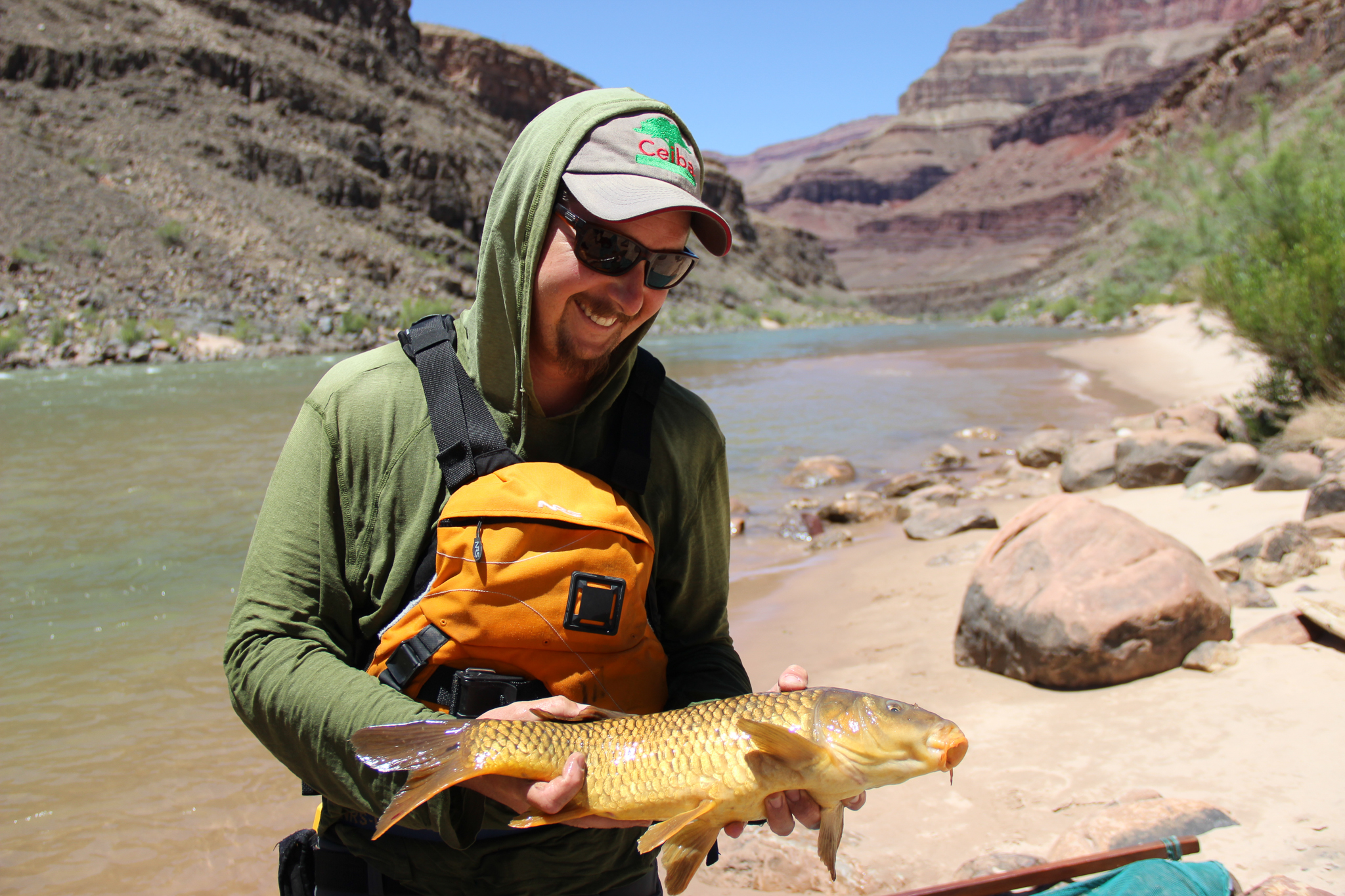 Fish biologist Adam Barkalow admires an invasive carp, one of the few non-native species capable of surviving in the challenging conditions in the Grand Canyon.