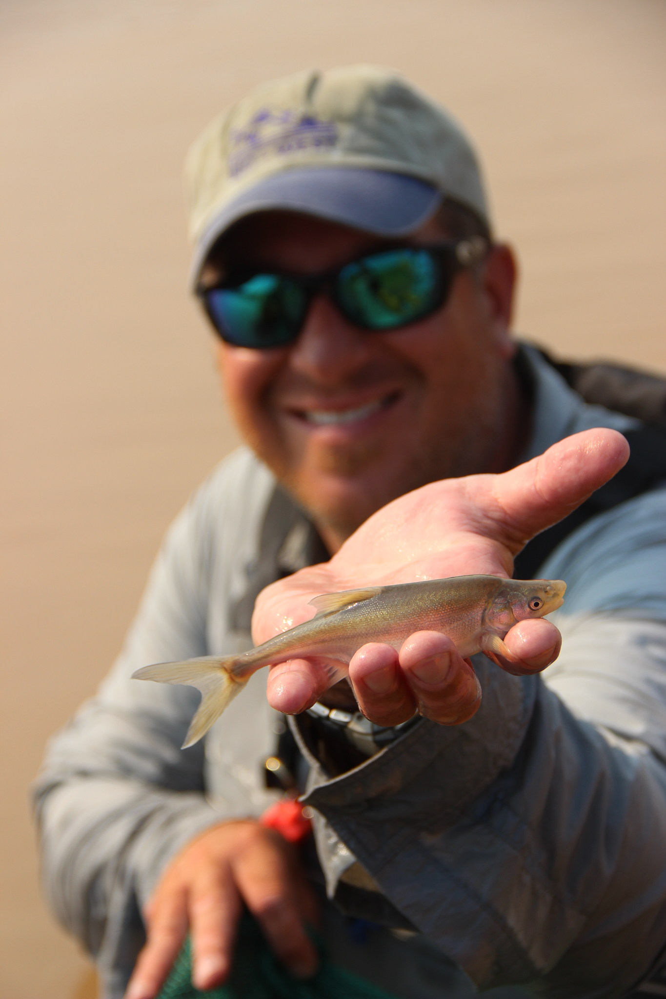 Biologist Brandon Albrecht displays a juvenile humpback chub caught in the upper reaches of Lake Mead. “The chub is the queen of the canyon—it drives management, and it’s one of the most studied fish in the world,” says Mark McKinstry, a Bureau of Reclamation biologist.