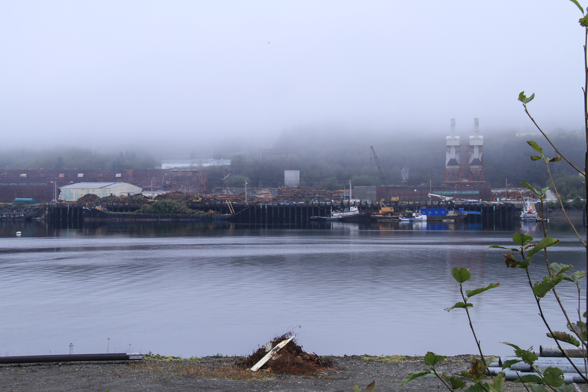 The former site of the Ketchikan Pulp Company, outside of Ketchikan – one of two giant pulp mills that used to consume Tongass National Forest logs until both shuttered in the 1990s.