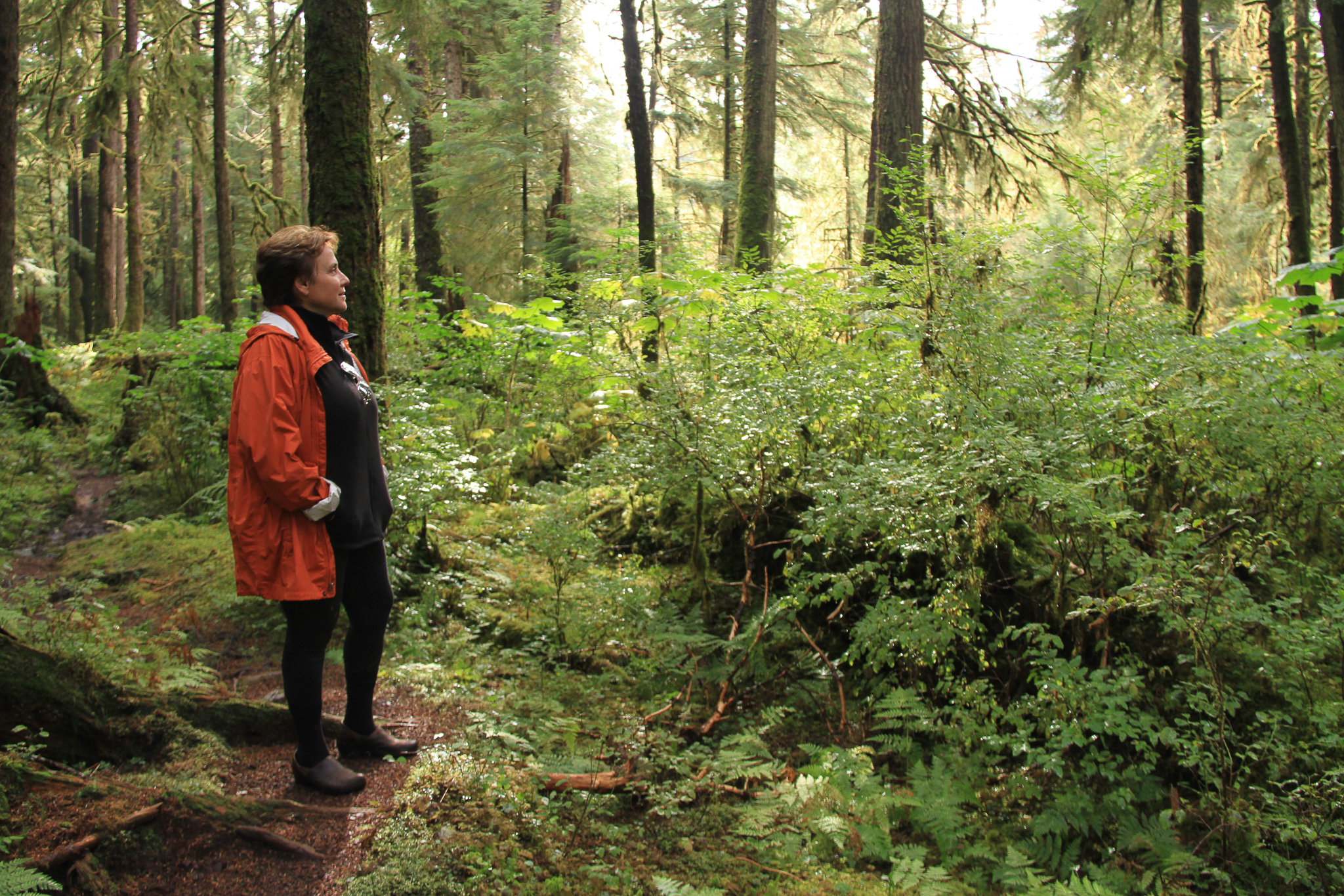 Oregon wood products engineer Catherine Mater visits an old-growth forest in the Honker Divide on Prince of Wales Island. Mater is one of many working to figure out how to transition more quickly from old-growth to young-growth logging.