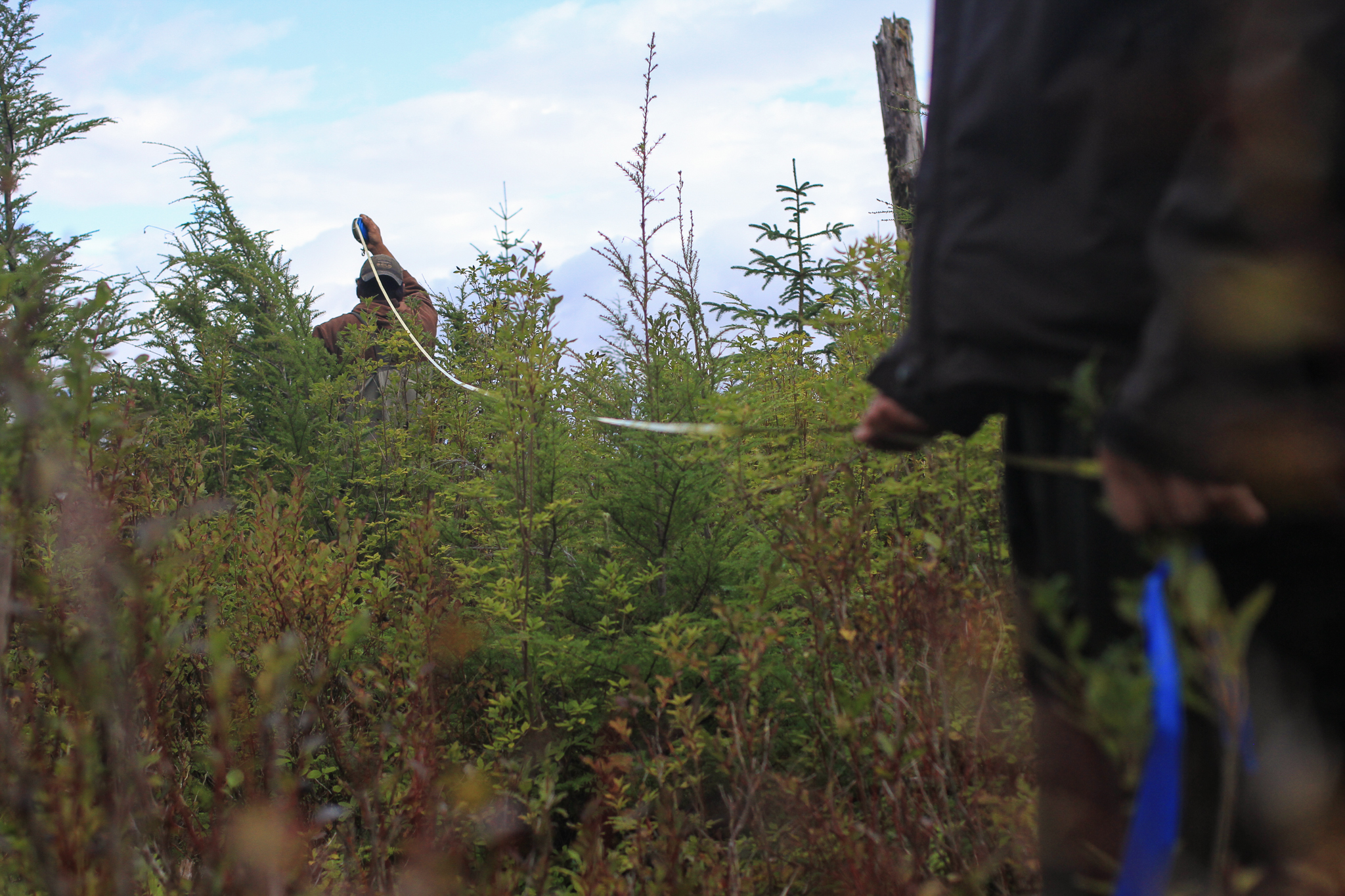 Phillip Sharclane and Donovan Smith use a tape-measure and flagging tape to stake out their survey plot.