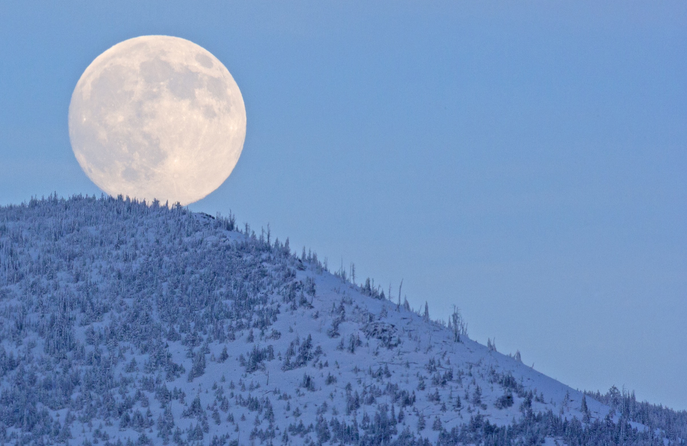Moon rises over the research site in Montana’s Bob Marshall Wilderness Area. Late winter marks the onset of mating season in this strictly nocturnal flying rodent.