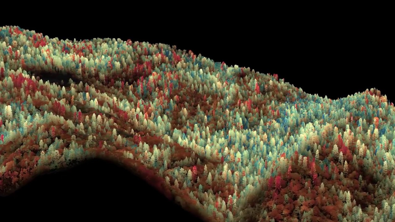 Using data collected by and visualizations generated by the Carnegie Airborne Observatory (CAO), scientists and forest managers can see both the current and future impacts of drought on Sequoia National Park.