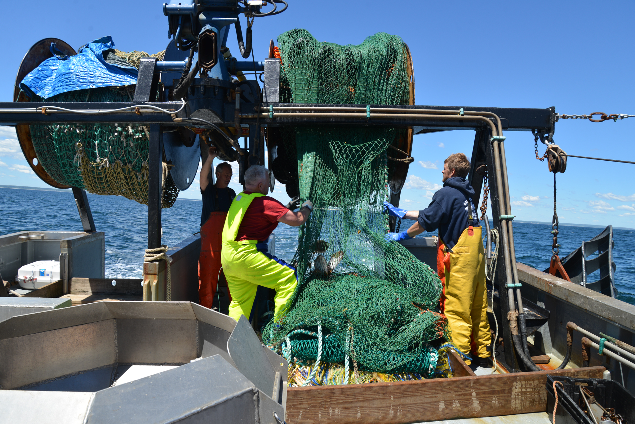 The crew of the Miss Emily tend the trawl net. Photo by Nicola Twilley