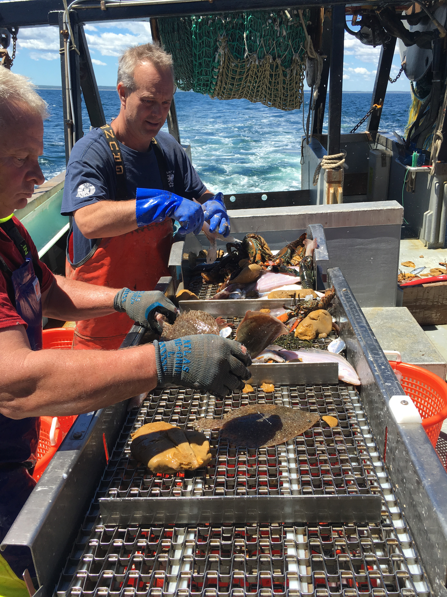 Bill Hoffman (right) and Paul Fitzgibbon sort the catch by species. Photo by Nicola Twilley