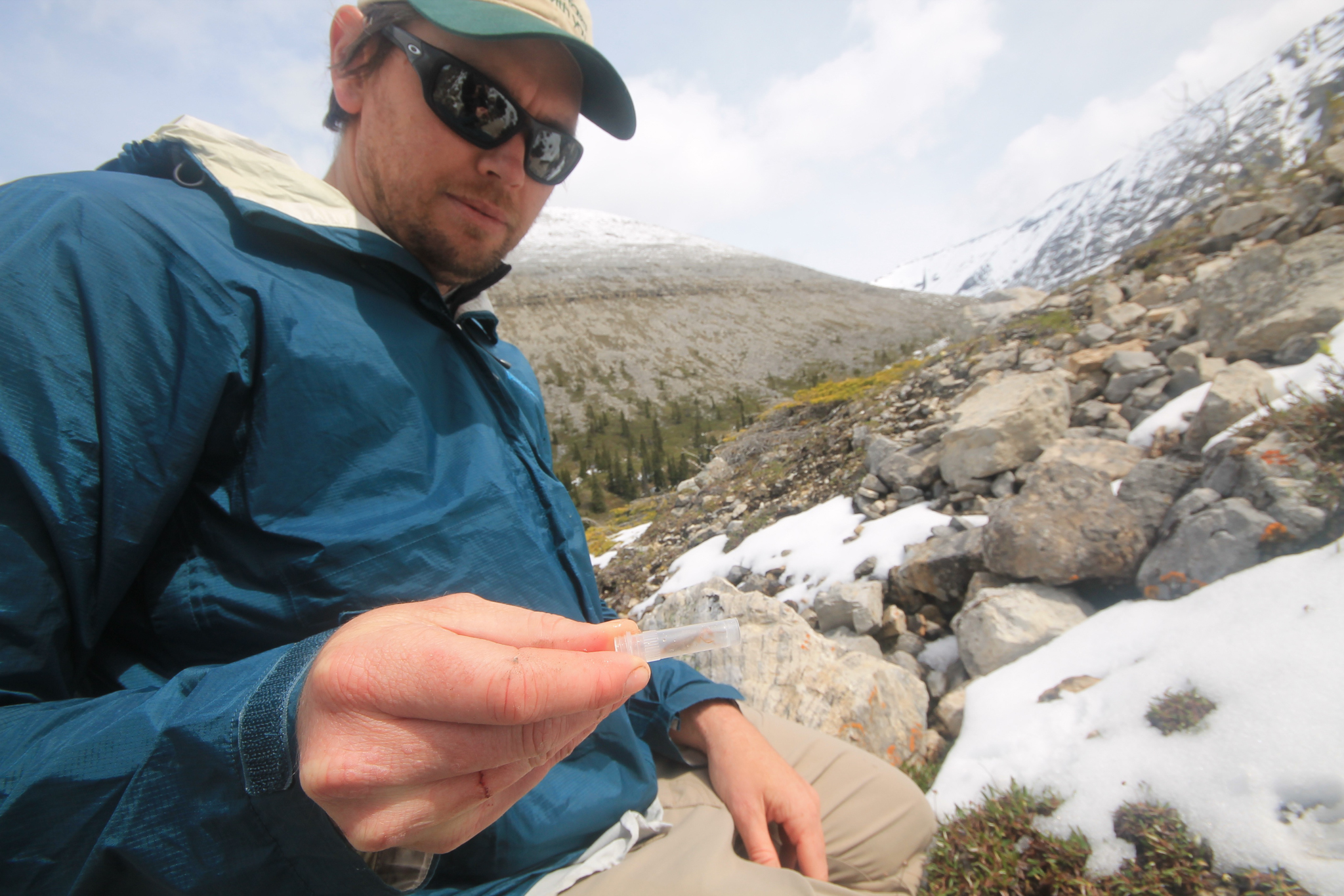 Sean Schoville places an ice crawler in an alcohol-filled vial to preserve its DNA for analysis back in the lab.
