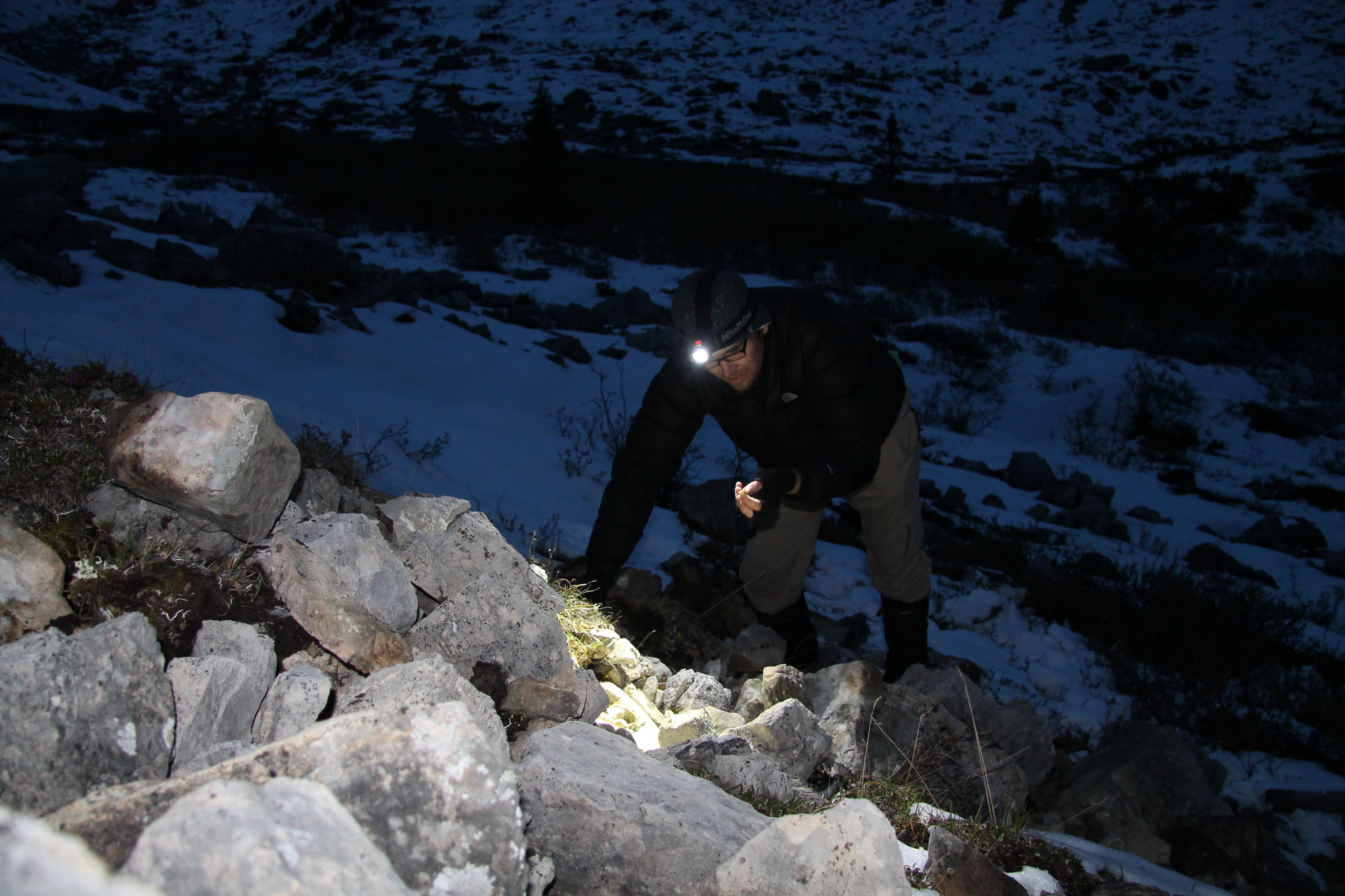 Entomologist Sean Schoville retraces the steps of Joseph William Kamp, the last person to collect ice crawlers at Mount St. Paul was. Kamp believed this region, at the northern end of the Rocky Mountains, served as an oasis for ice crawlers during the last ice age.