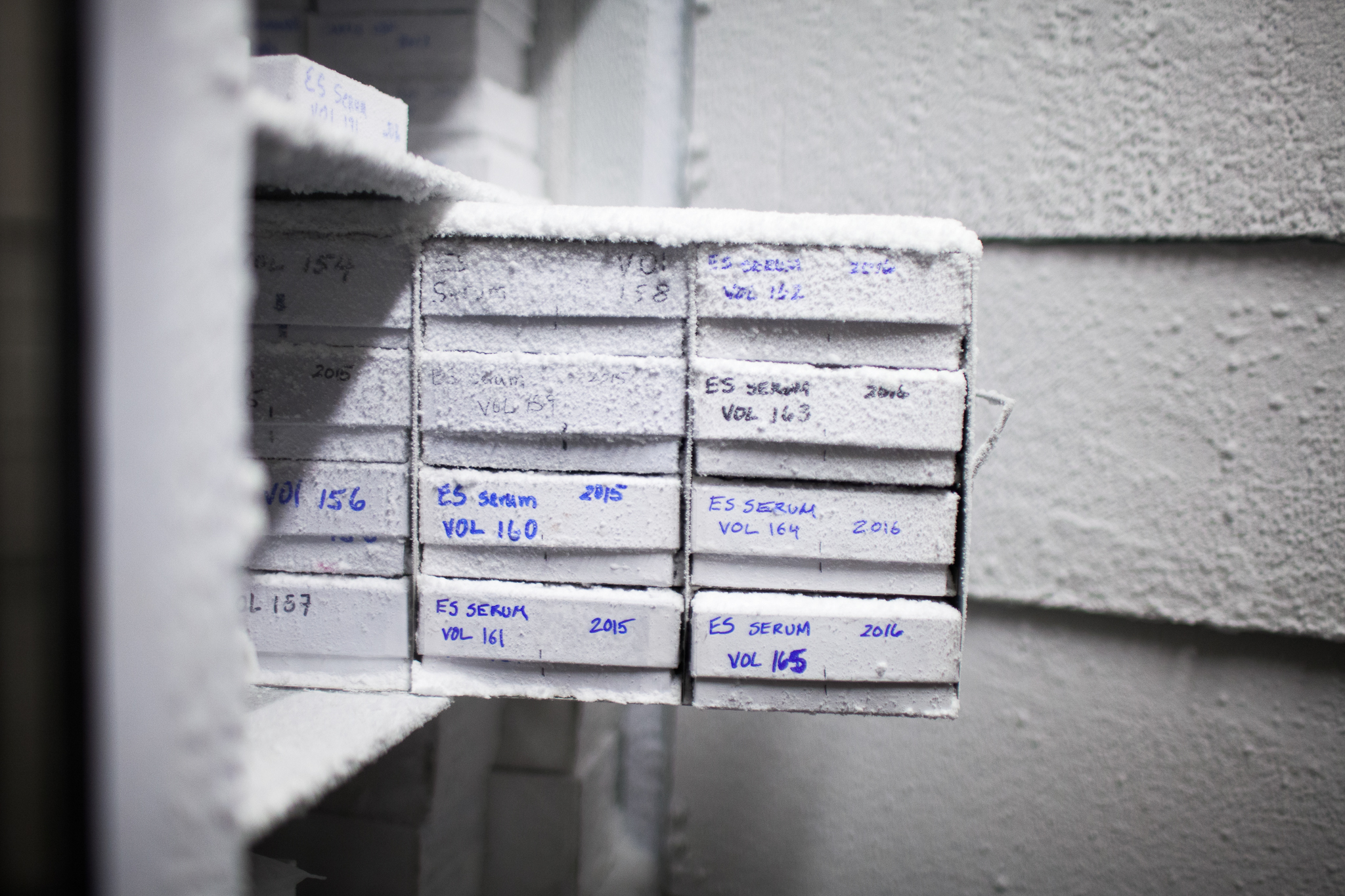 Fastidiously labeled tissue samples line the shelves of several freezers stored on-site at The Marine Mammal Center.
