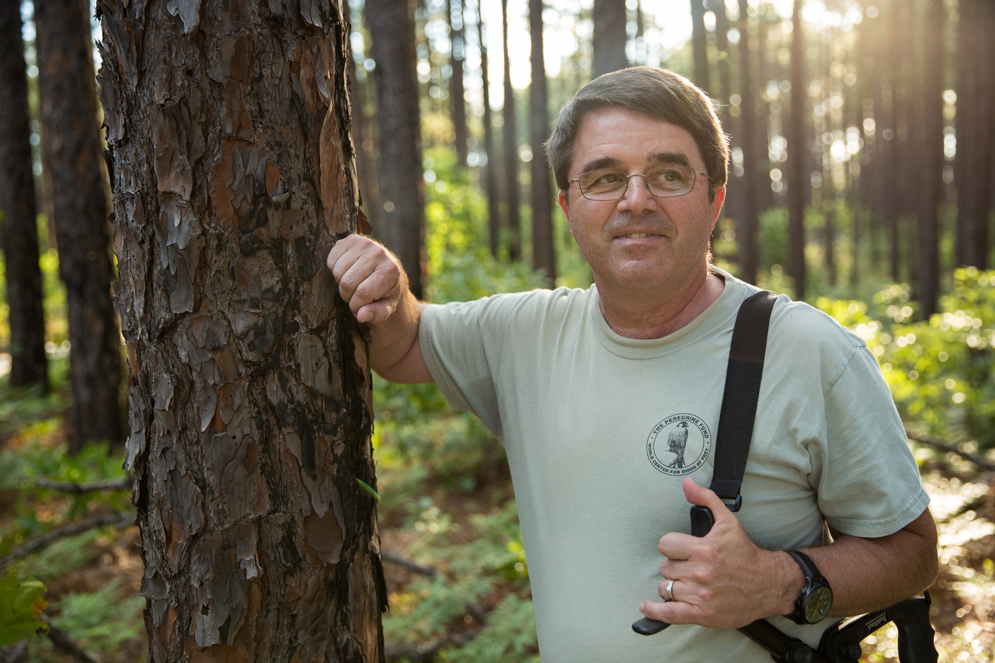 Biologist Jeff Walters, from Virginia Polytechnic Institute and State University, has been studying Fort Bragg’s woodpeckers since 1983.