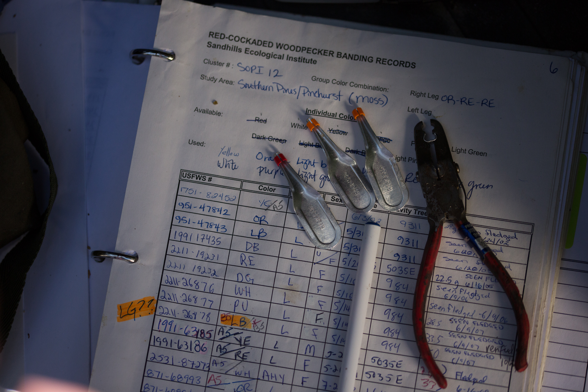 A binder of genealogical records helps biologists identify the birds by their color-coded bands.