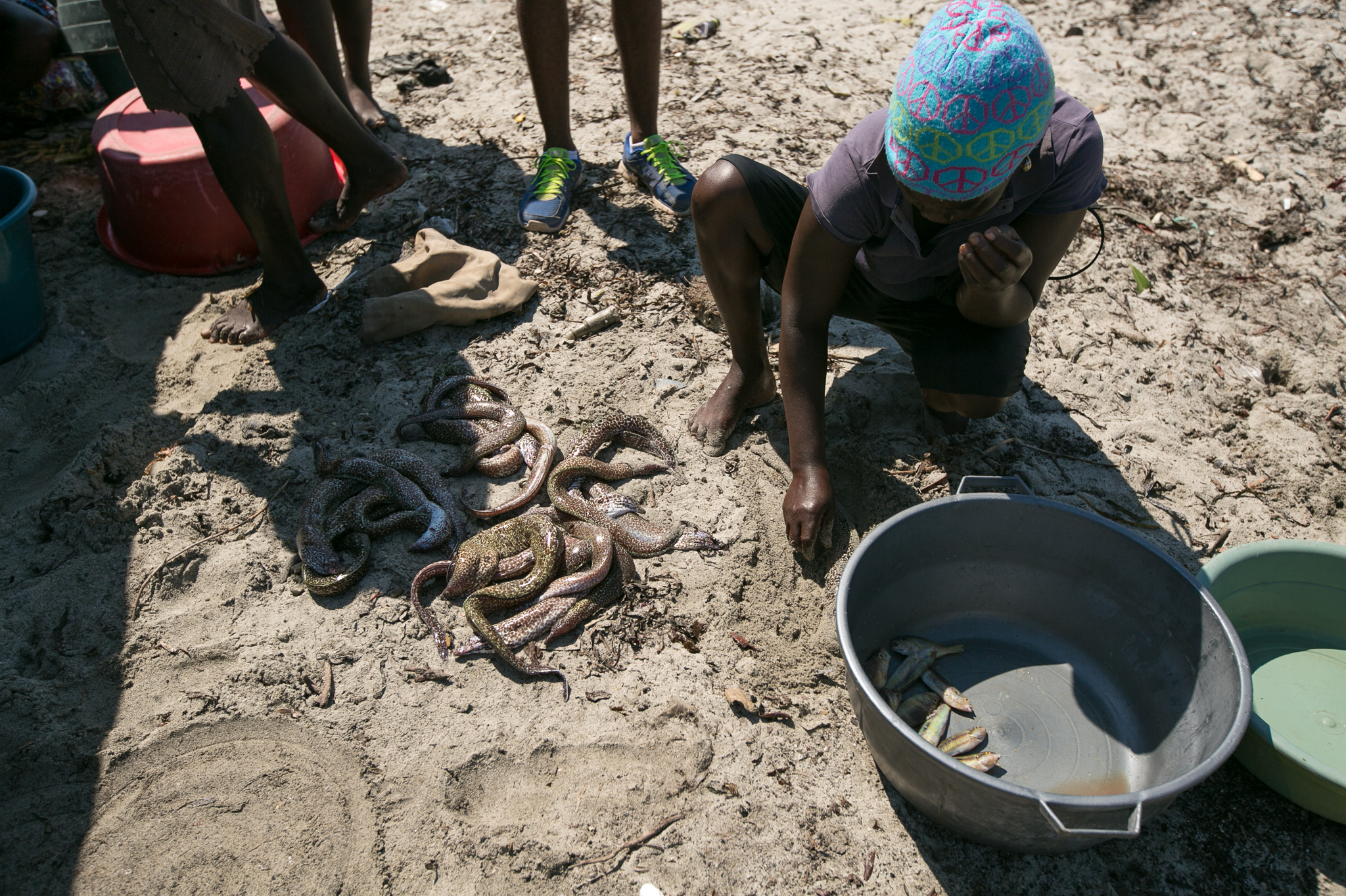 The catch of the day in Caracol is usually comprised of fish like these: very young and not fully grown. All of the larger fish were stripped from the water long ago. ©2016 Bahare Khodabande.