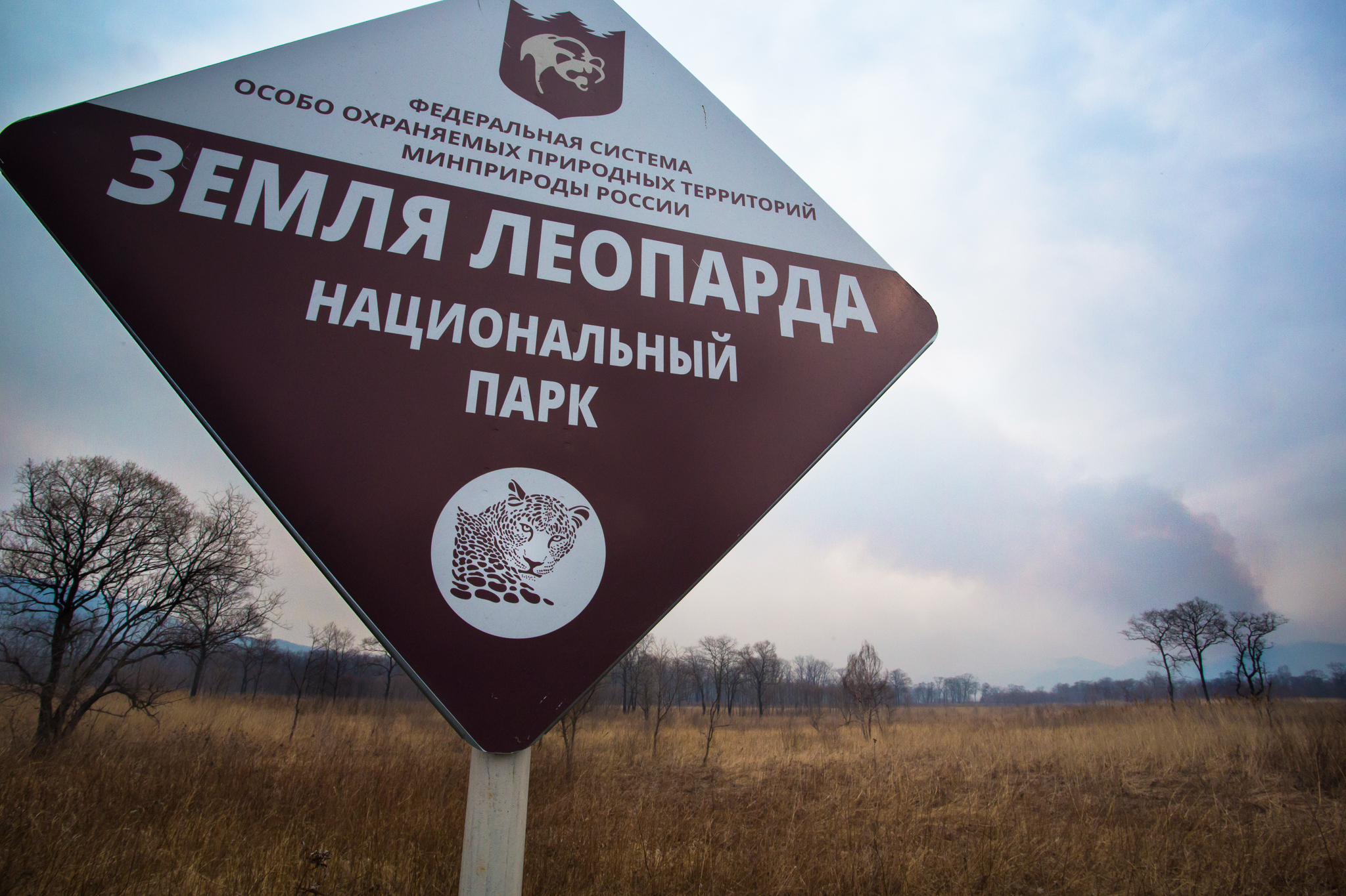 Grasslands now stretch across large swaths of Land of the Leopard National Park, the result of “retaliation fires” set by people who object to the new park’s bans on hunting and logging. Reforestation efforts are currently underway.