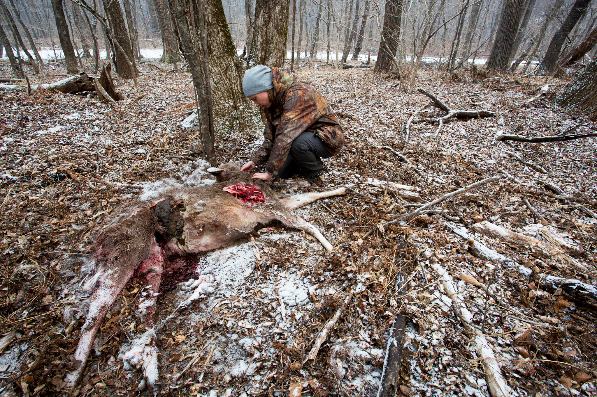 Big cat expert Dina Matyukhina inspects the carcass of a sika deer inside the national park. While Amur leopards frequently prey on both sika and roe deer, dogs belonging to farmers just outside the park borders were the culprits in this case.