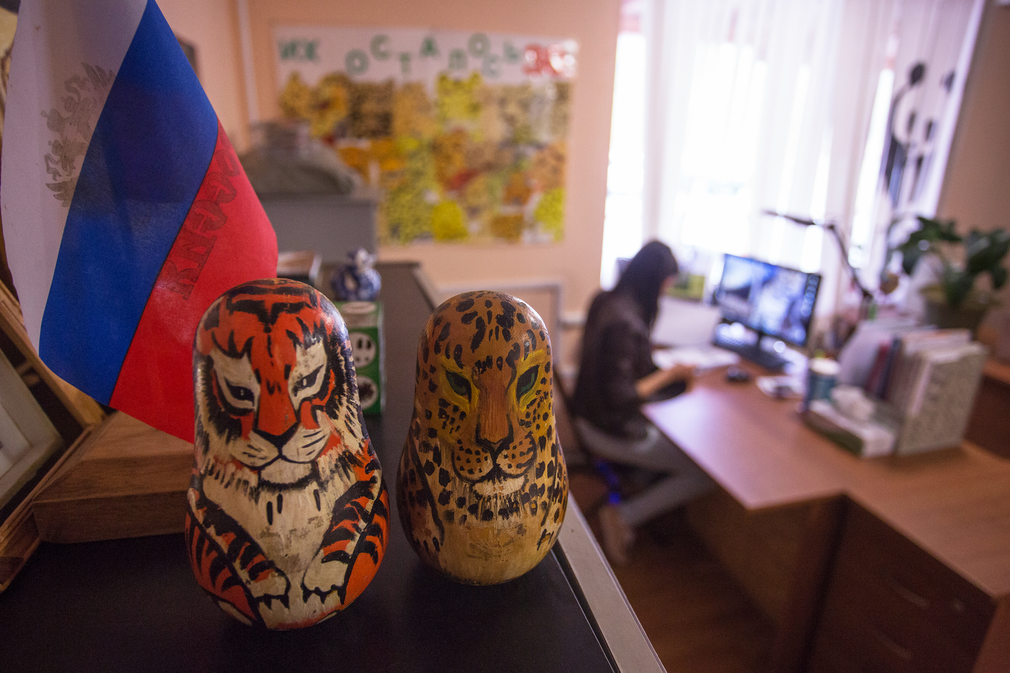 The Land of the Leopard National Park office in Barabash, a village bordering the park, coordinates efforts to study and conserve both of the park’s big cats—Amur leopards and Amur tigers.