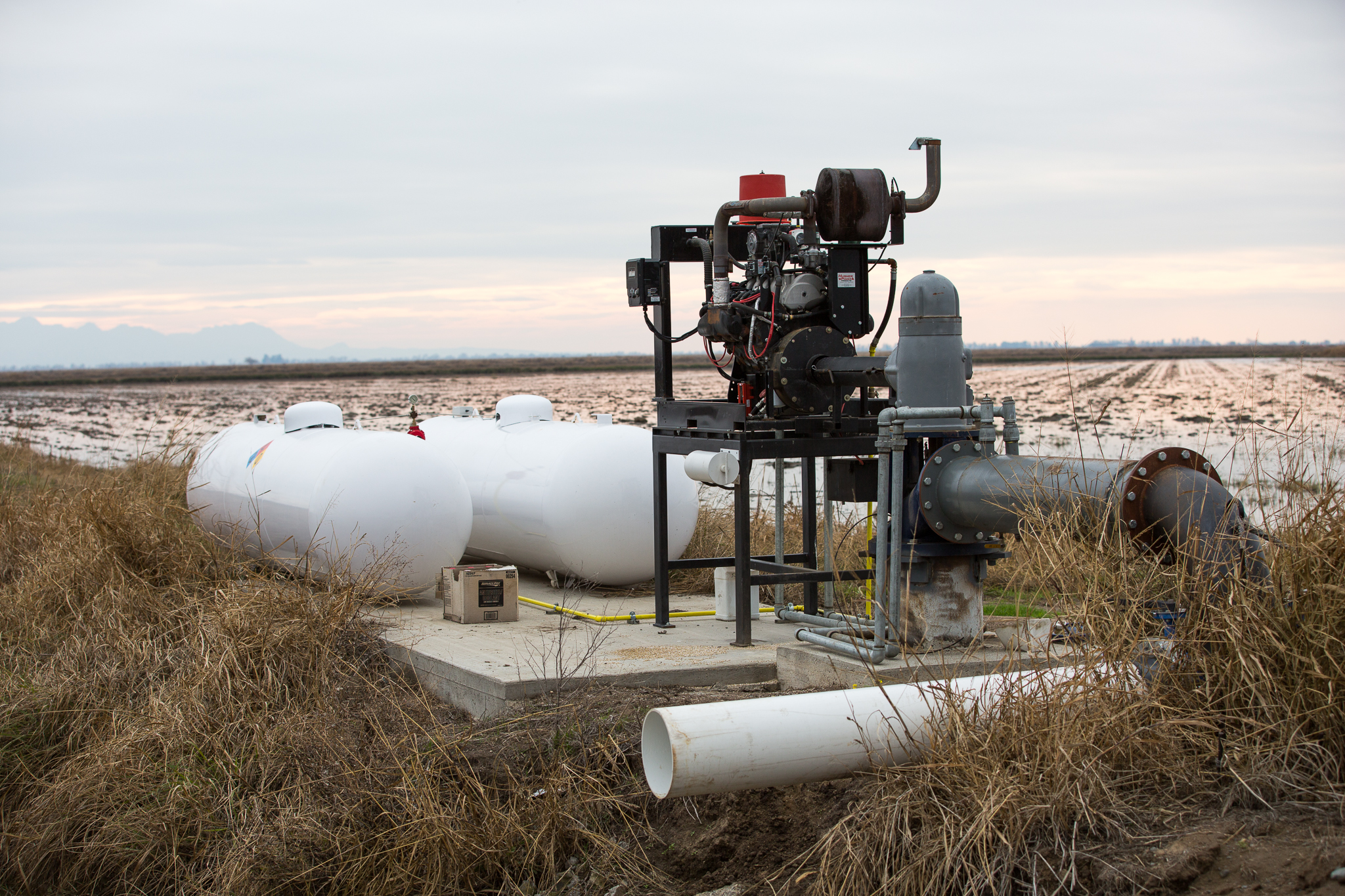 Irrigation pumps like this one pull water from a canal and deliver it onto nearby rice fields. Farmers (and wildlife managers) monitor water levels and adjust according to seasonal needs, including the presence of migratory birds.