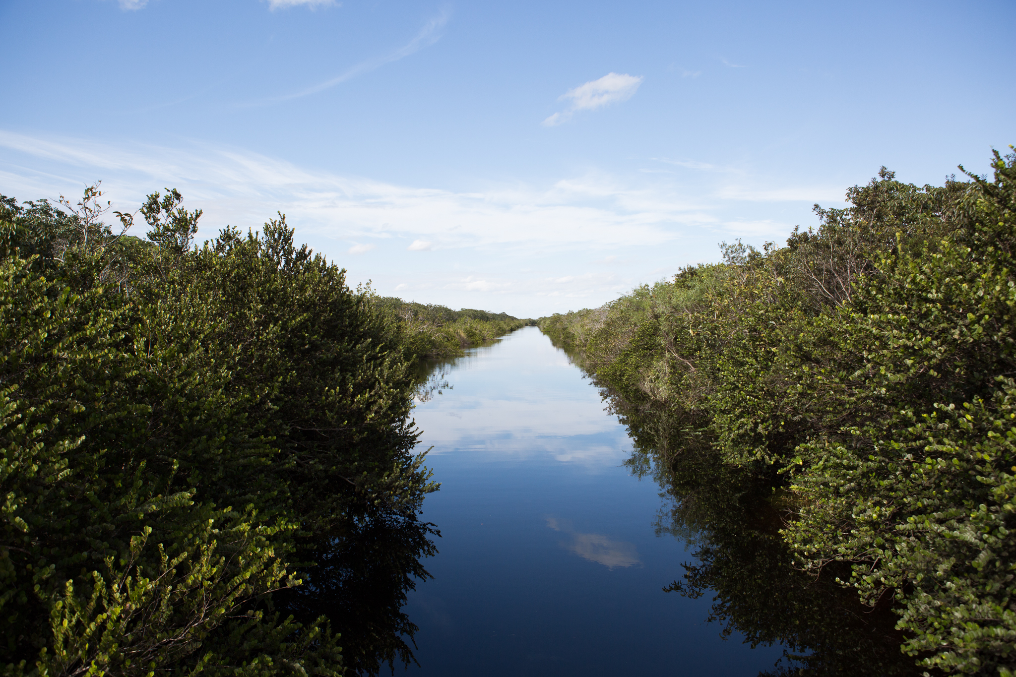 Canal C-110 in Southern Glades, Florida, where Sterrett and Steen focused their search during the Python Challenge.