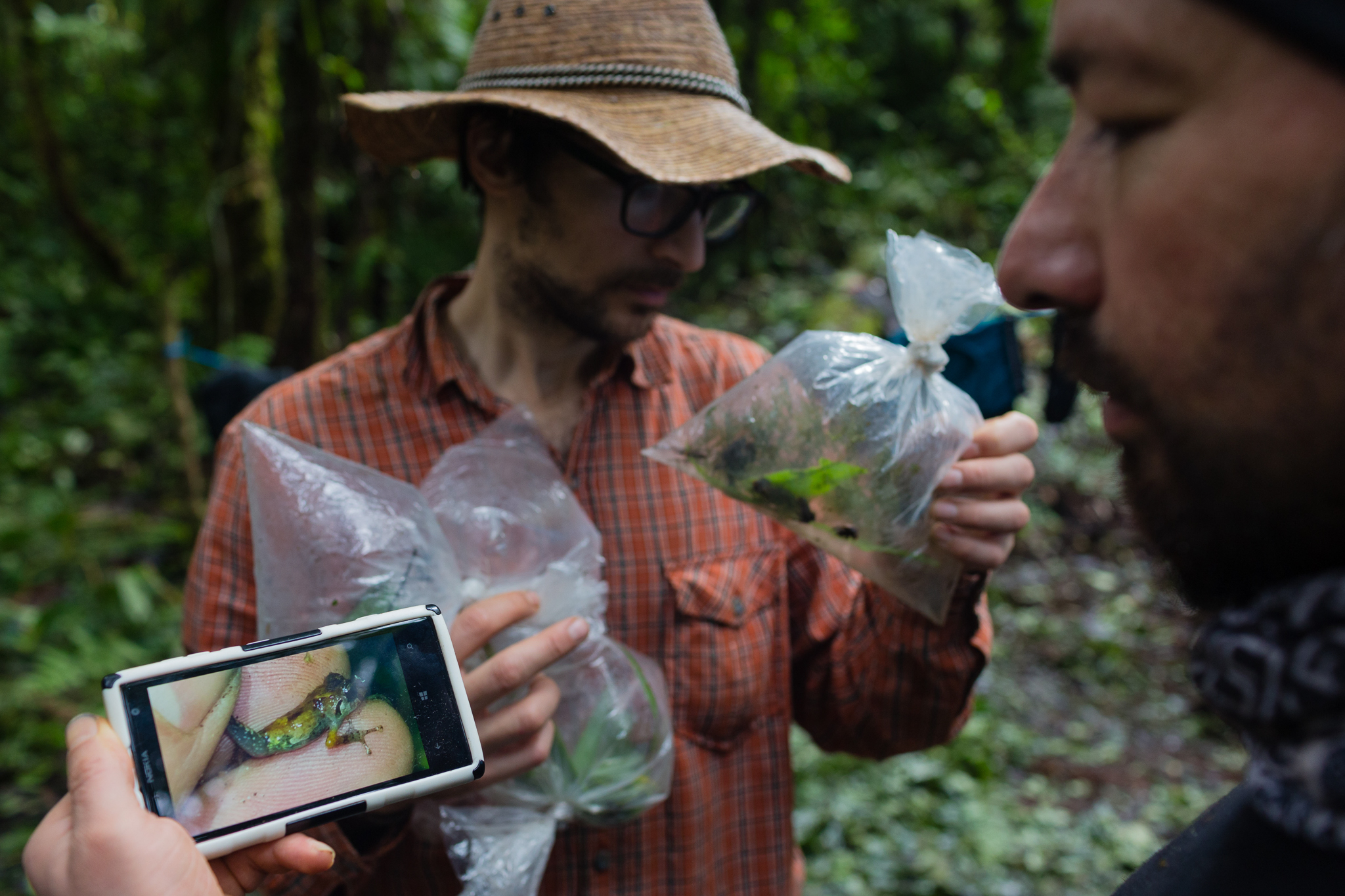 José Padial and Peruvian biologist Juan Carlos Chaparro examines specimens of a potential new species of frog just collected. Photo by Andy Isaacson.