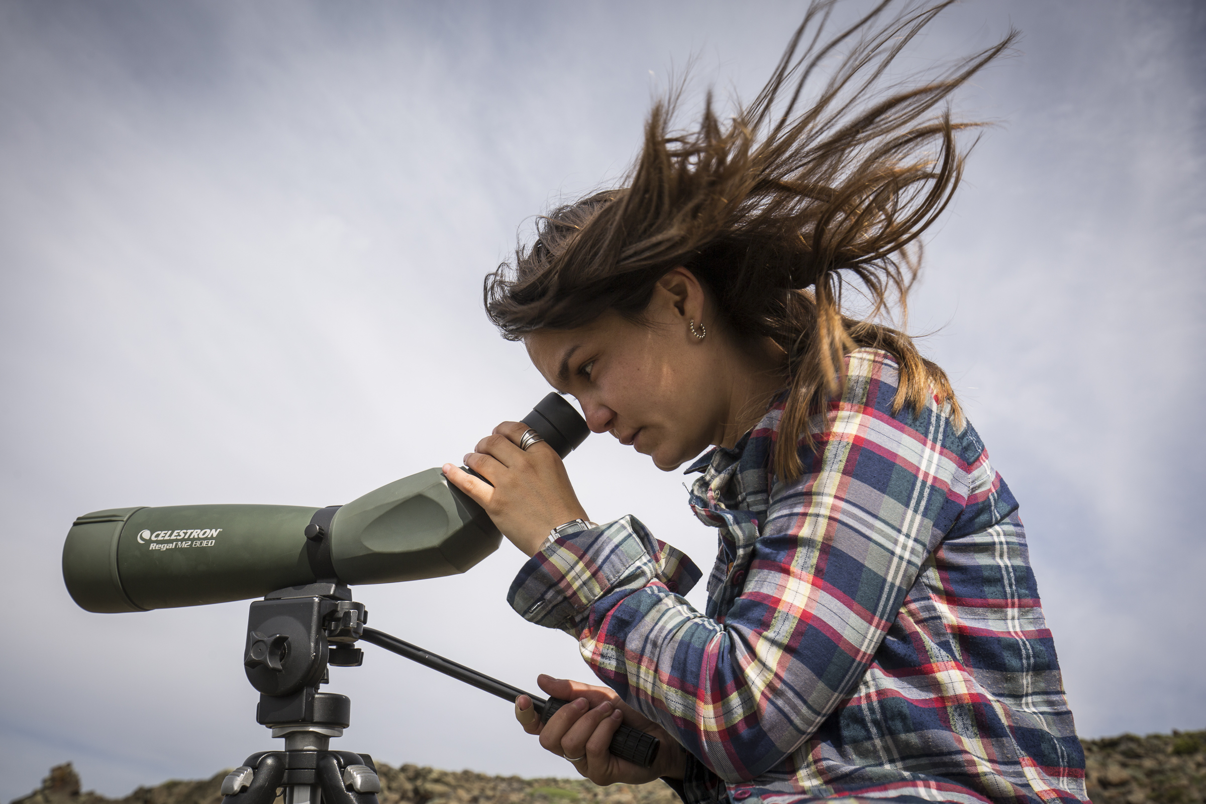 Lucia Belen Martin uses a spotting scope to monitor the grebe colony on the lake where she’s currently stationed.