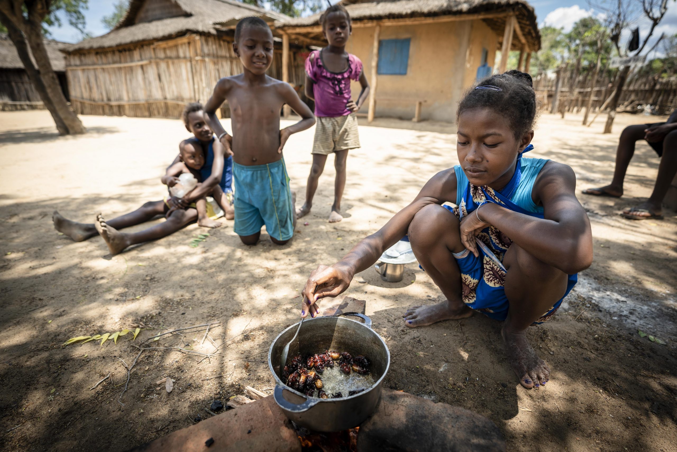 In Beroboka, a village within the Menabe Antimena Protected Area, children hunt for rhinoceros beetles—a favorite snack.