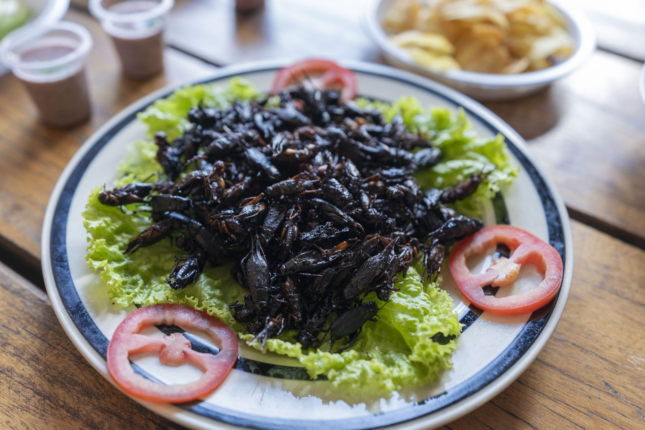 Fried cricket hors d'oeuvres are served to guests at Valala Farm. Many think the farming of protein-rich insects like crickets could be a viable way of feeding the world’s ever-growing population, as well as conserving wildlife.