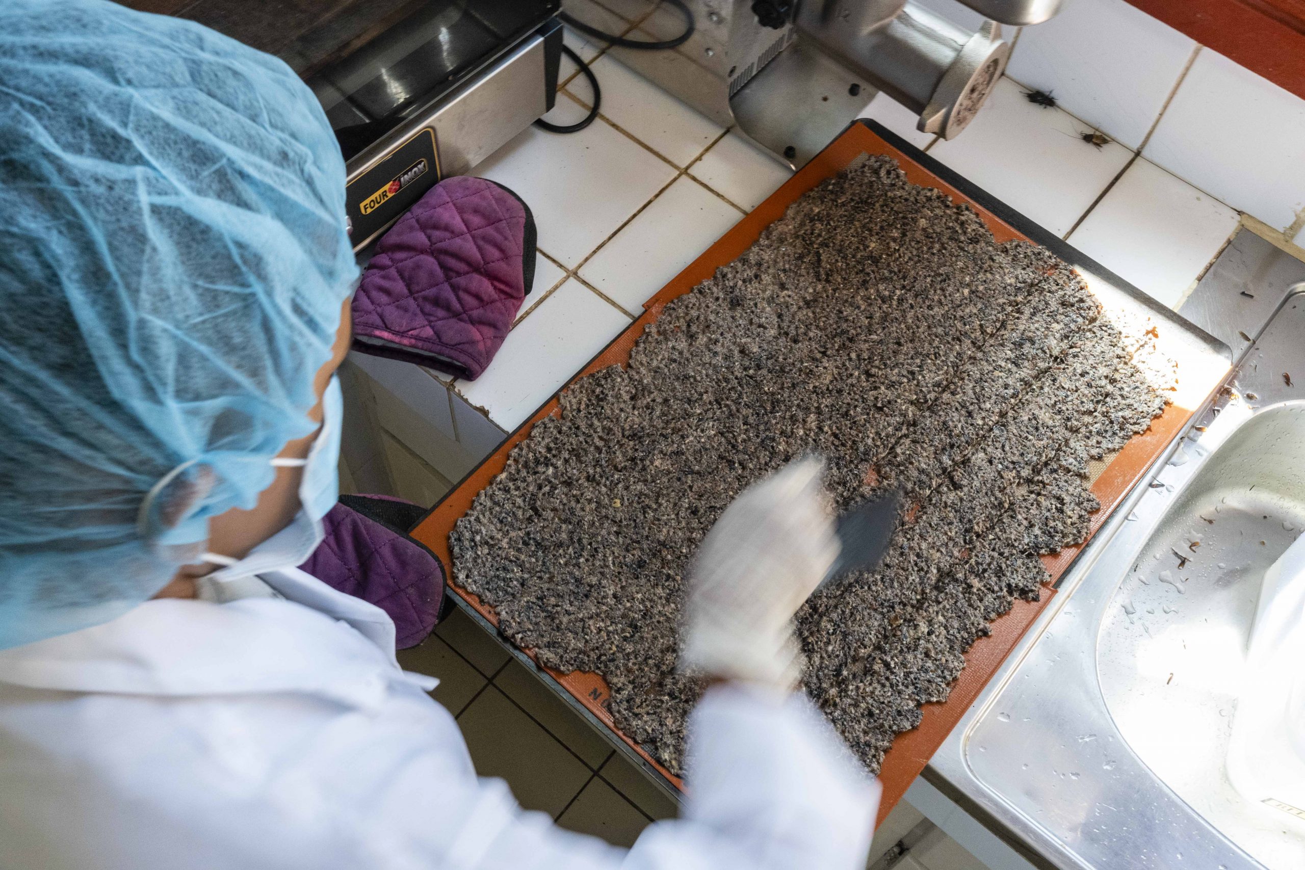 Workers use a meat grinder to grind whole crickets into a moist slurry that is then dehydrated on baking sheets.