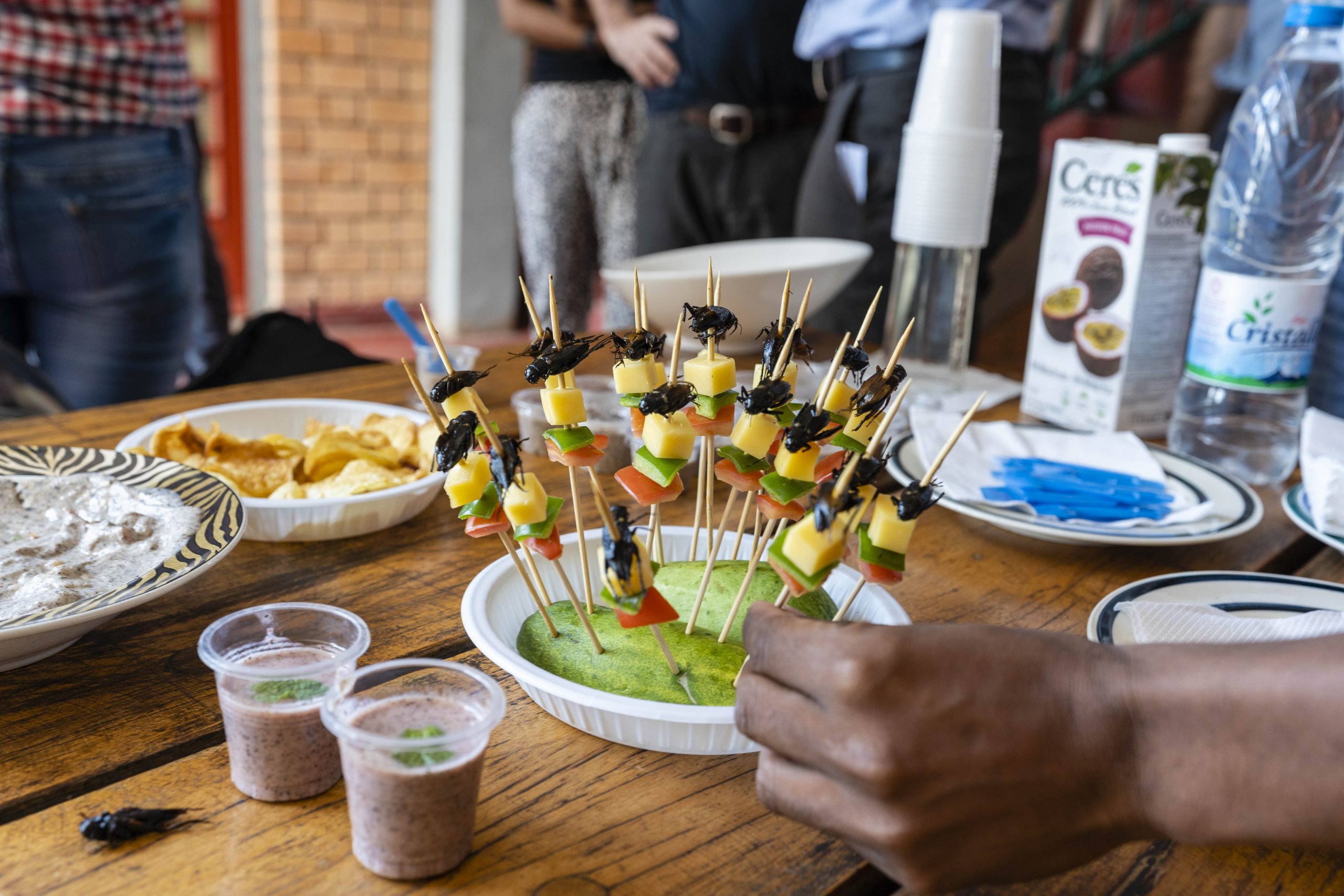 Cricket appetizers are served to guests at Valala Farm. Founder Brian Fisher hopes that Valala is the first of many cricket farms to be built in Madagascar.