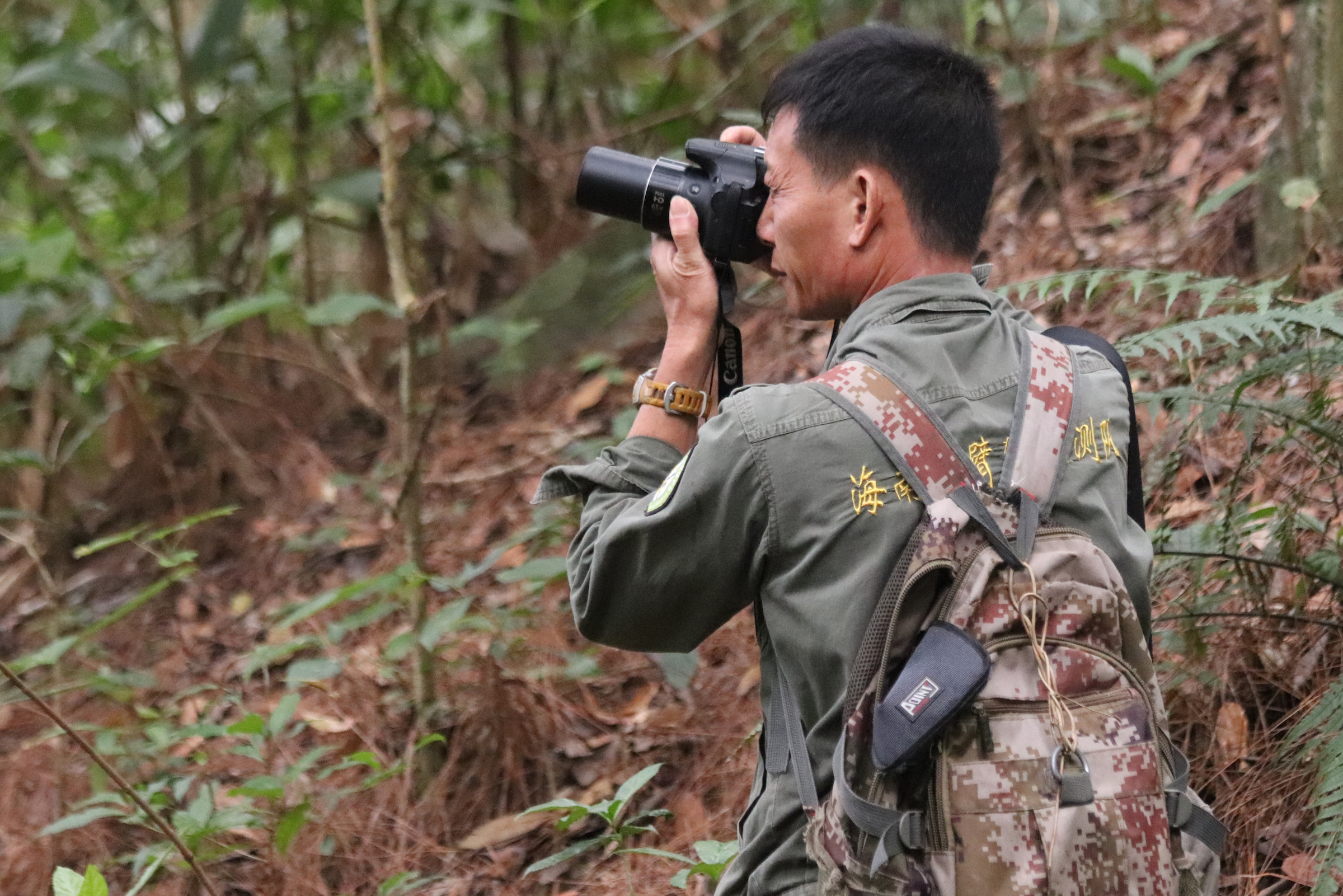 Forest ranger Li Wenyong monitors the tiny population of the Hainan gibbon, the rarest ape in the world. Photograph courtesy of Kadoorie Farm & Botanic Garden