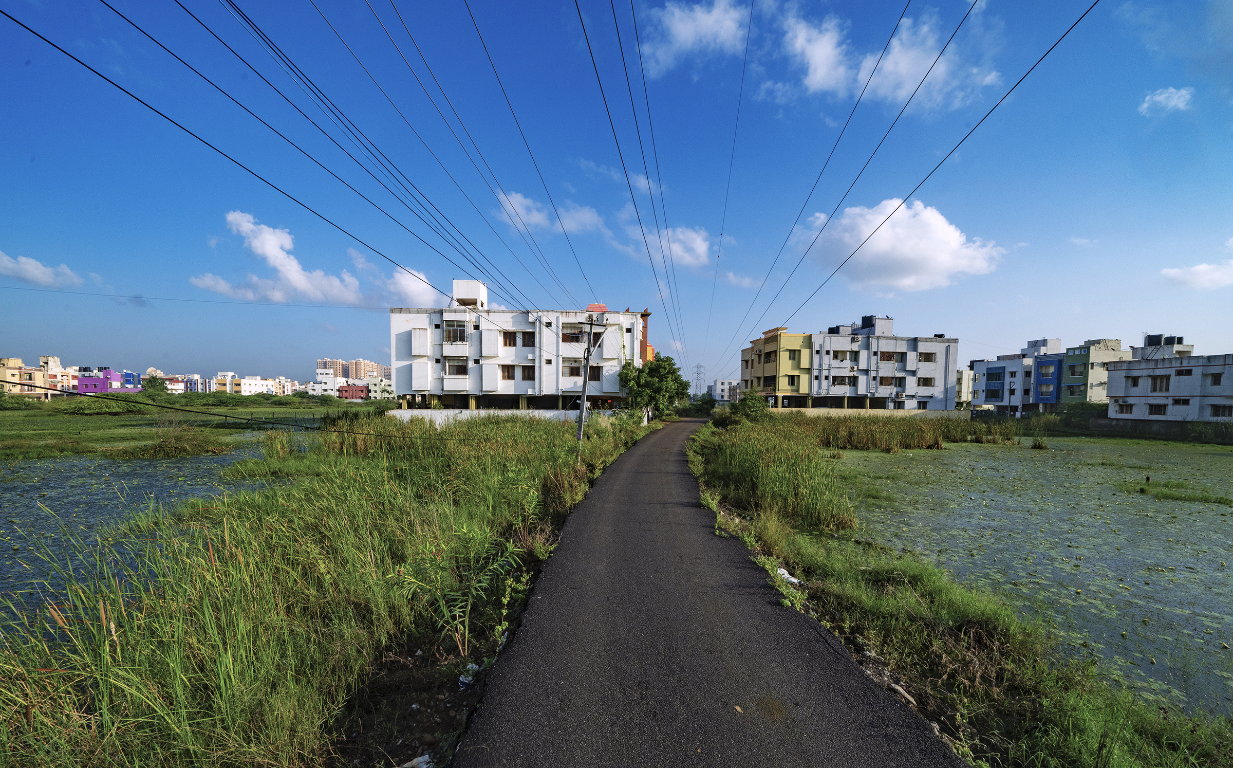 Rampant development has decimated marshlands around Chennai, impacting the city's ability to control floods, store water, and protect native biodiversity.