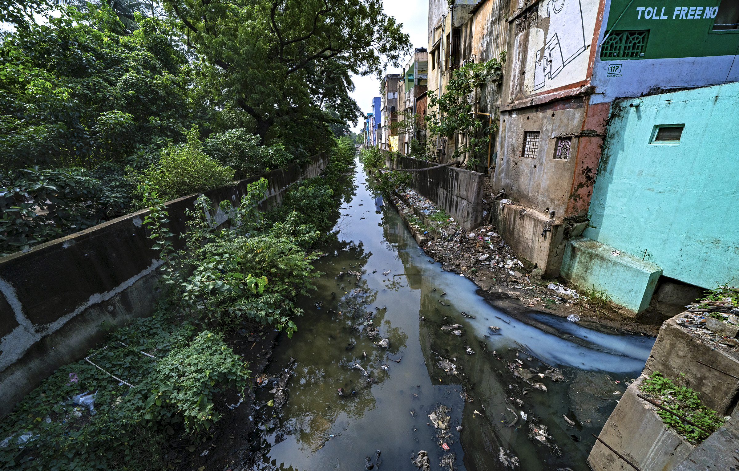 Stormwater as well as garbage and sewage collect in Chennai's Mambalam Canal.