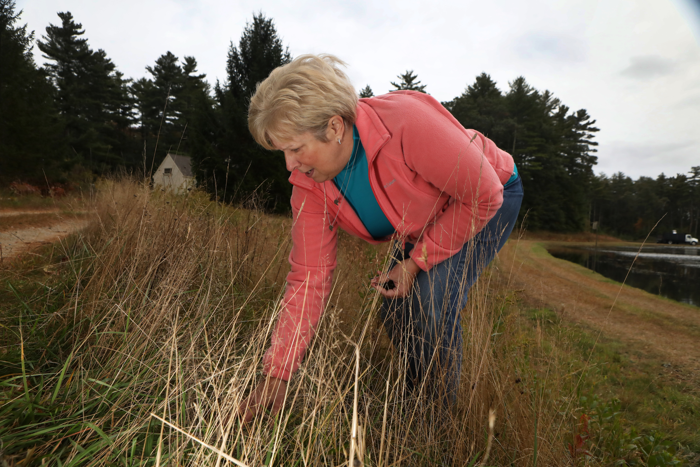 Wildlife rehabilitator Sue Cowan forages for insects, pond greens, and mealworms for the wood duck she is attempting to reintroduce to the wild.