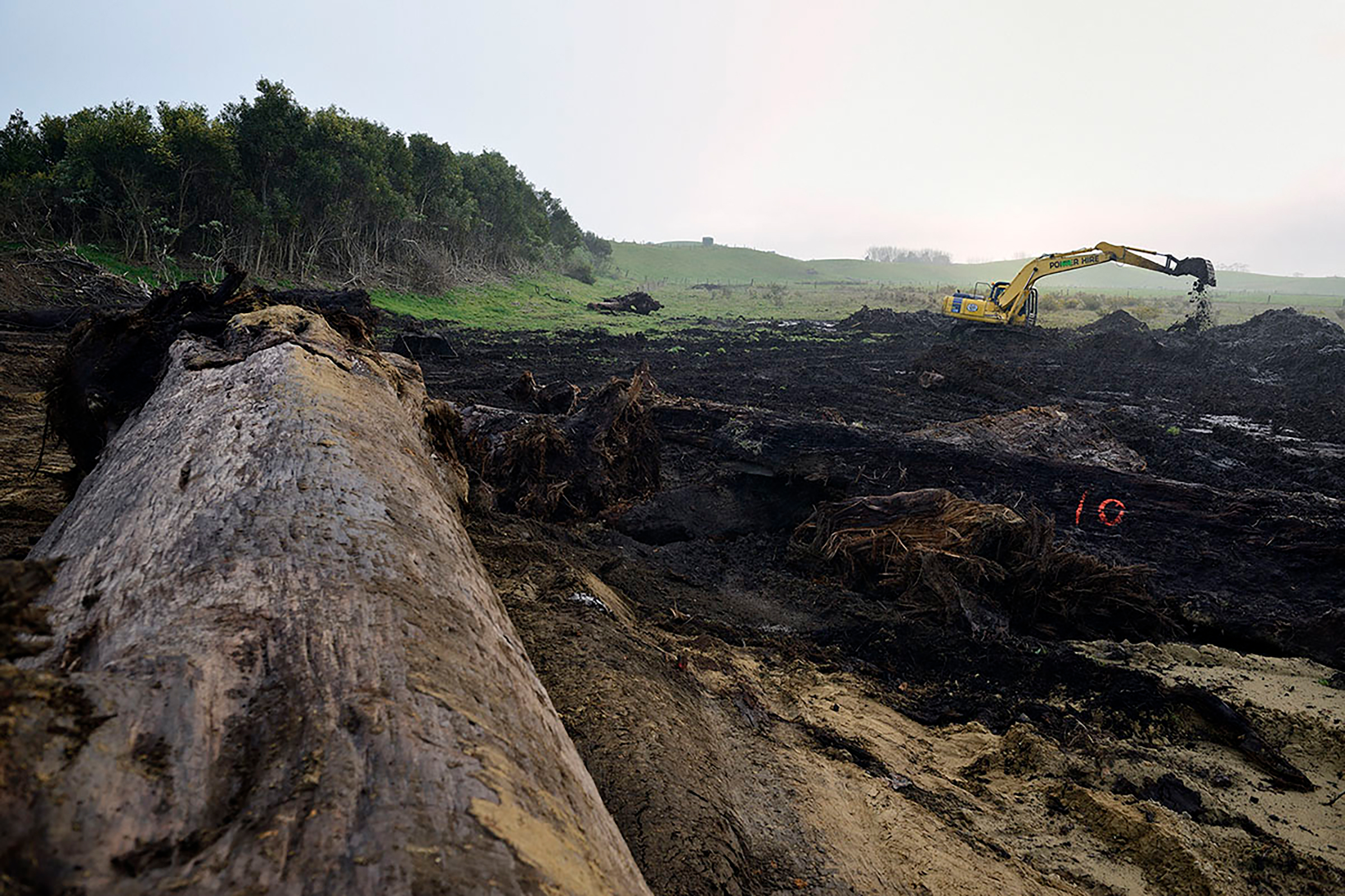 Swamp kauri extractors dig for the buried logs in a farm paddock in Northland, hoping to sell the timber on the international market. Photograph by Arno Gasteiger.
