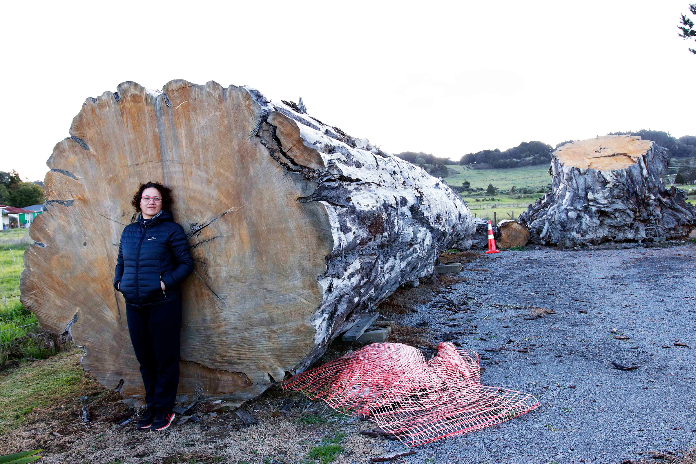 For now, the giant tree rests in three pieces in the parking lot of the Ngāwhā marae, or meeting house, in New Zealand’s far north, watched over by Donna Tukariri. Photograph by Kate Evans.