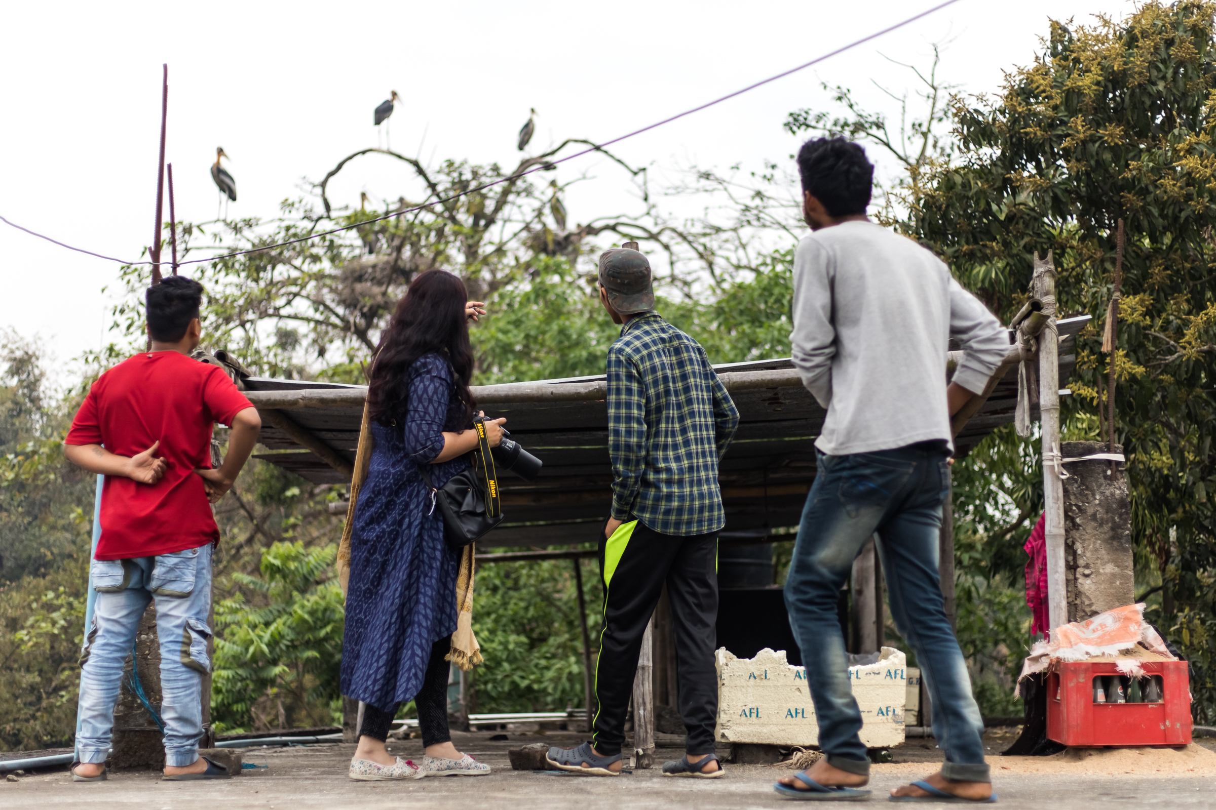Biologist Purnima Devi Barman is pictured with team members observing nesting greater adjutants, which have chosen to nest in a "Hargila Army" member’s backyard.