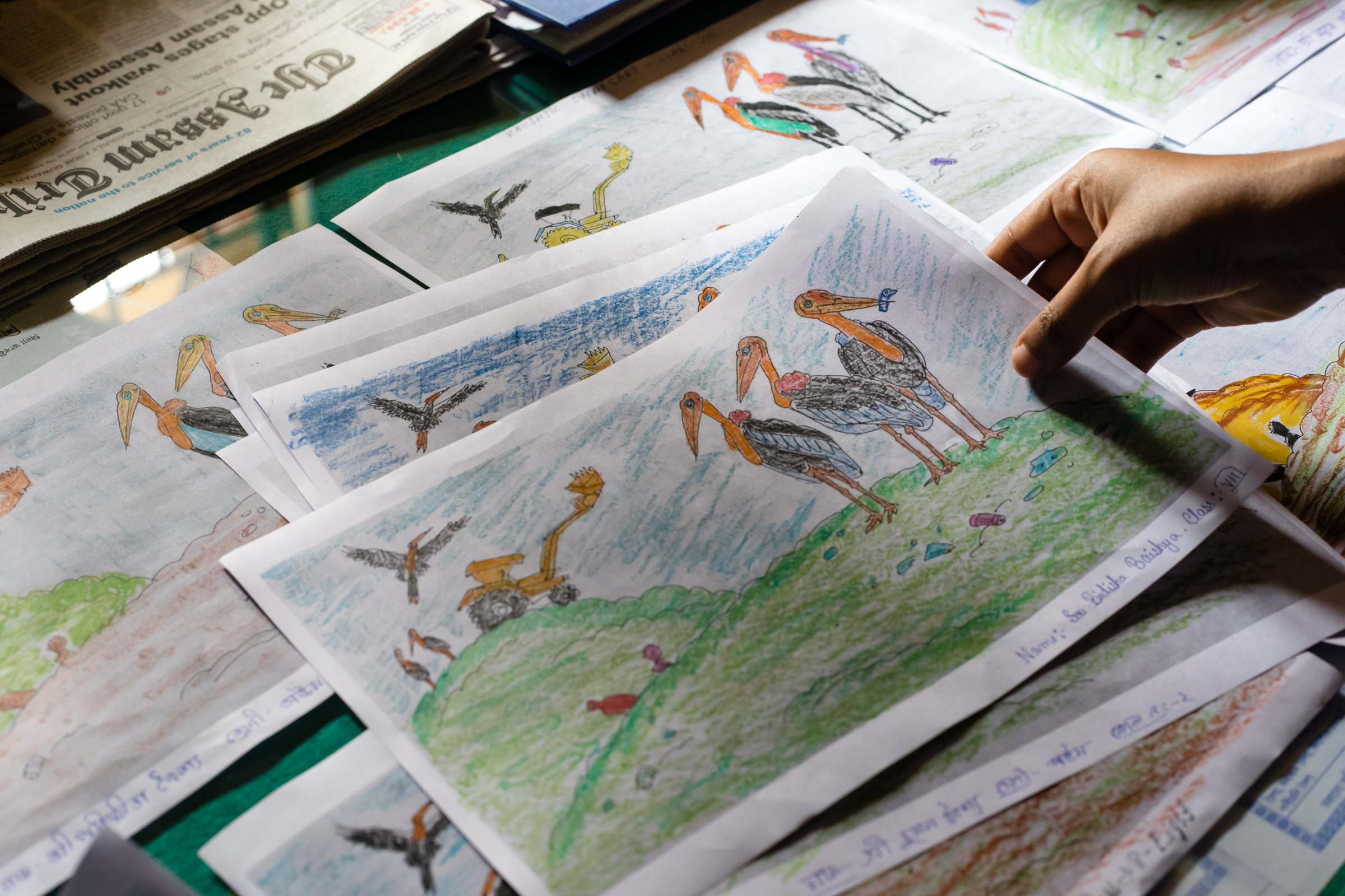 Students are provided with coloring pages featuring endangered greater adjutants as a means of educating and inspiring local wildlife conservation efforts.