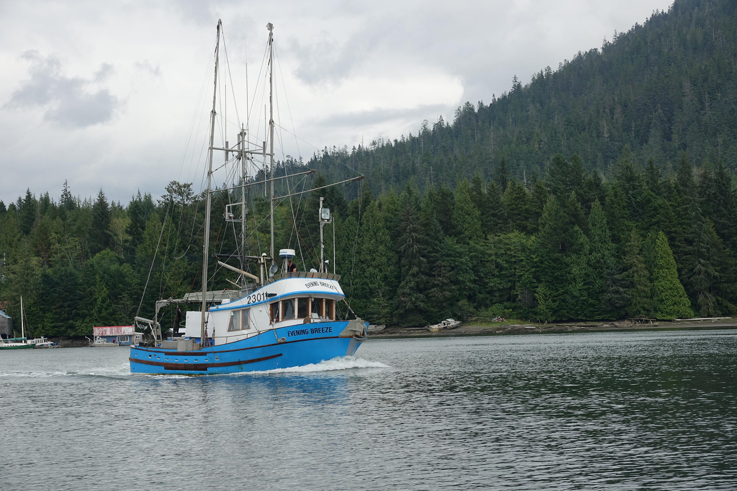 As fishing technologies have improved and hauls have increased, in some tributaries of the Skeena, sockeye populations have been reduced to a trickle. Photograph by Lesley Evans Ogden