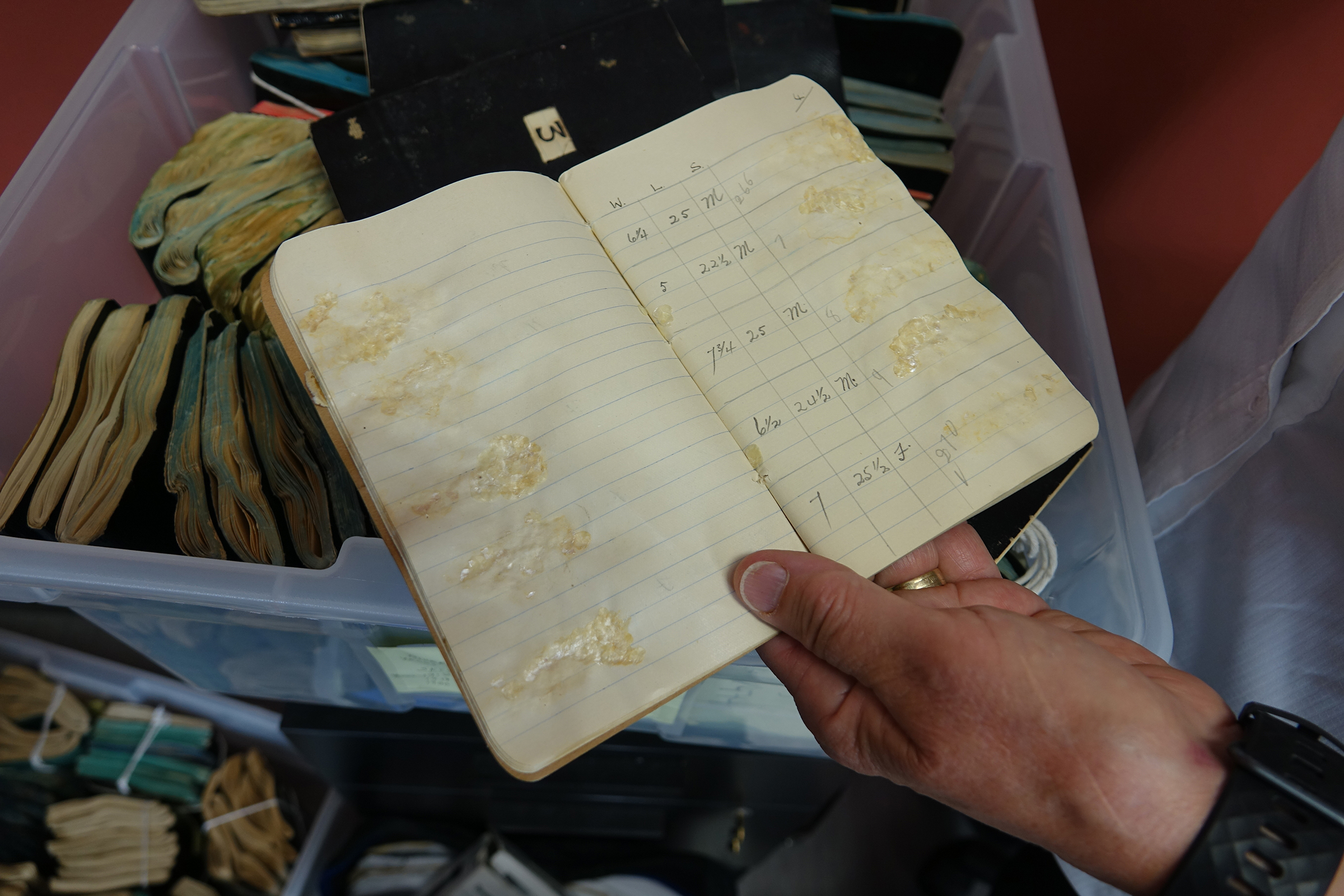 Michael Price holds one of the original sockeye salmon notebooks where fisheries overseer Robert Gibson, in 1919, recorded the length and weight of each fish, and affixed a sample of the fish’s scales. Photograph by Lesley Evans Ogden