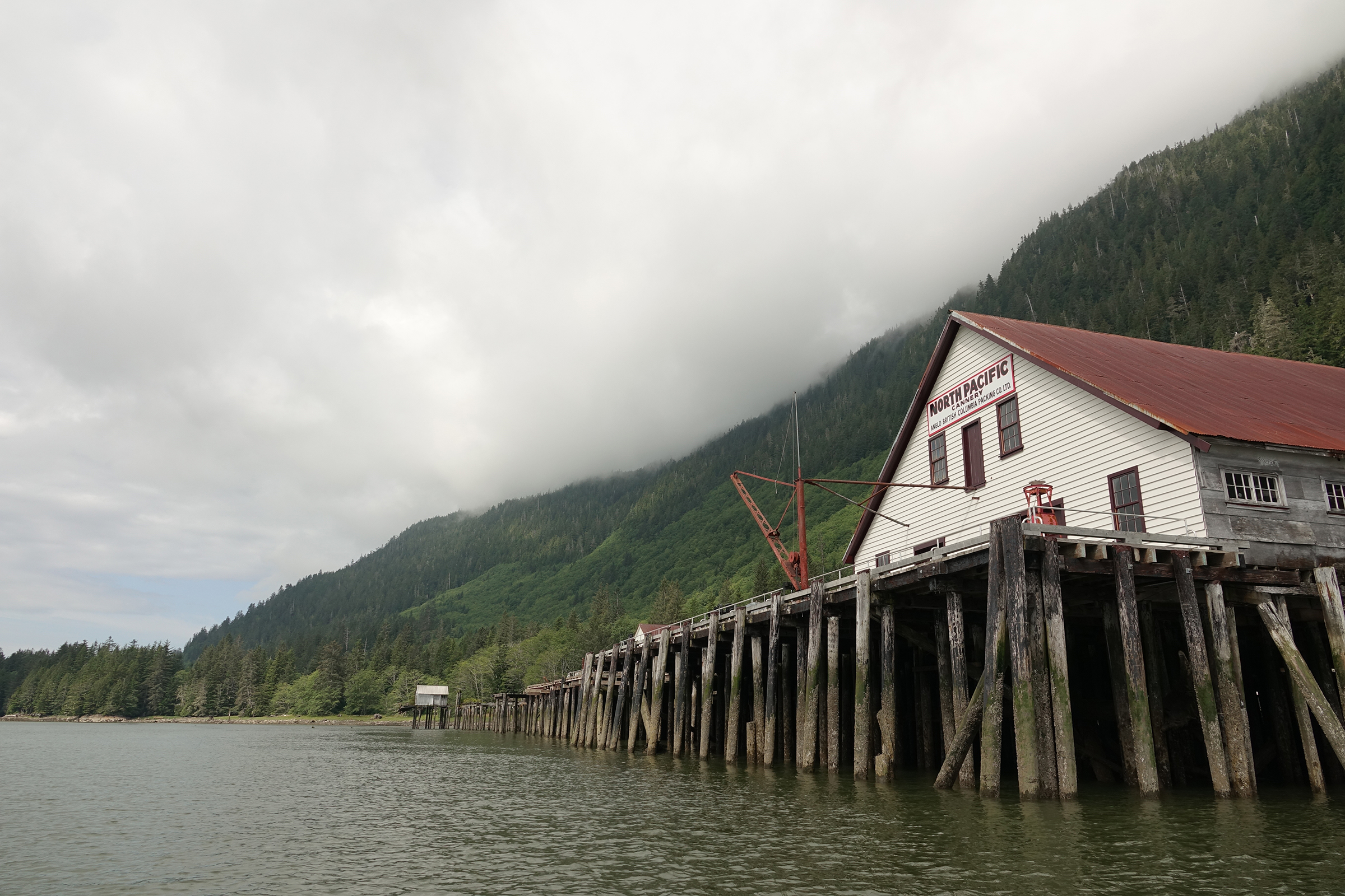 On the north bank of the Skeena River, just west of the ruins of Port Essington, sits this disused cannery, now the North Pacific Cannery Museum. None of the more than a dozen canneries that once operated along the Skeena are still in operation today. Photograph by Lesley Evans Ogden