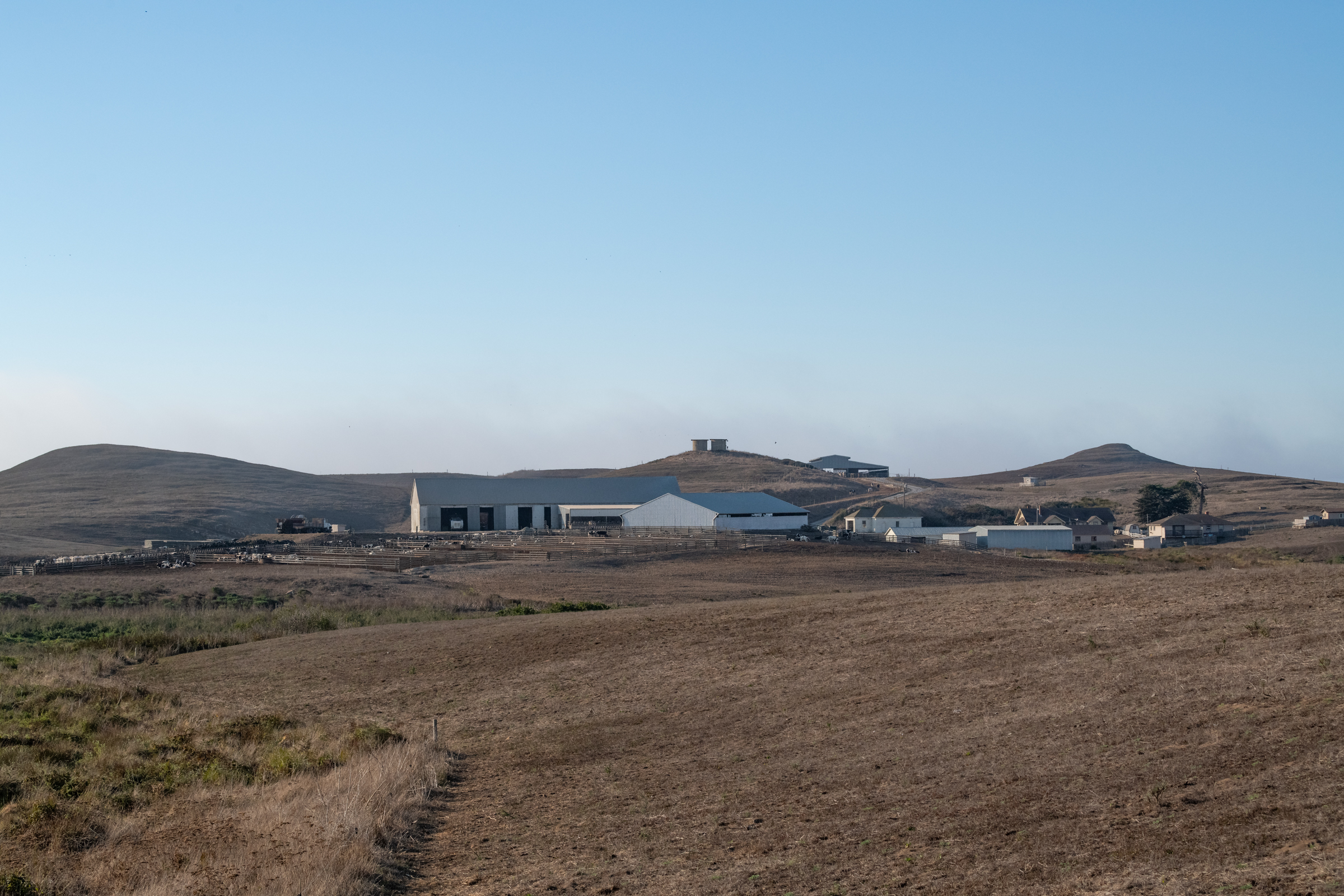 The I Ranch sits on and runs a commercial dairy operation on leased land in Point Reyes National Seashore.
