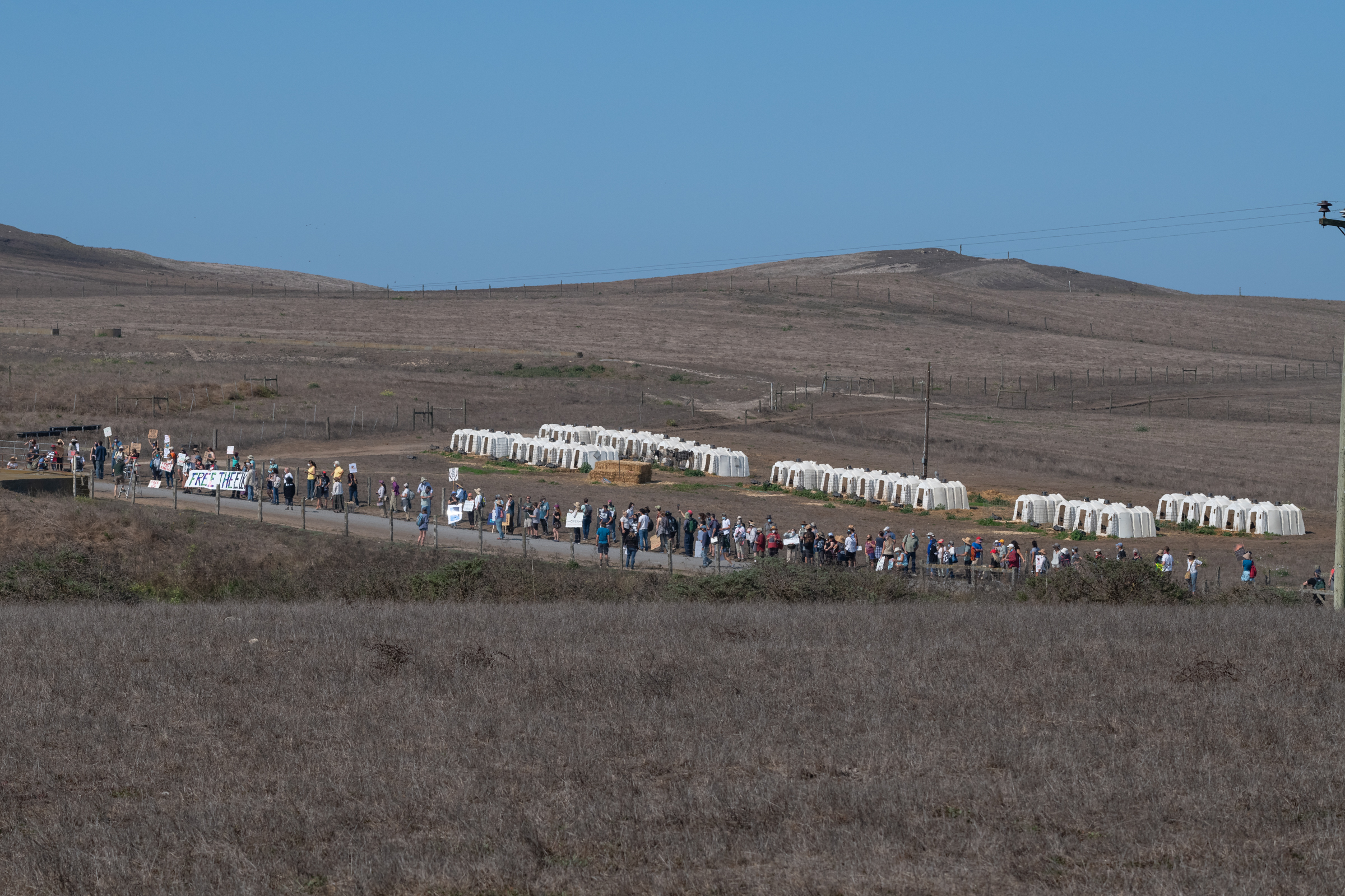 Protesters gather at McClure's Dairy (I Ranch) in September 2020, insisting that the Park Service remove fencing surrounding the Elk Preserve, and generally do more to protect the elk population in the Park.
