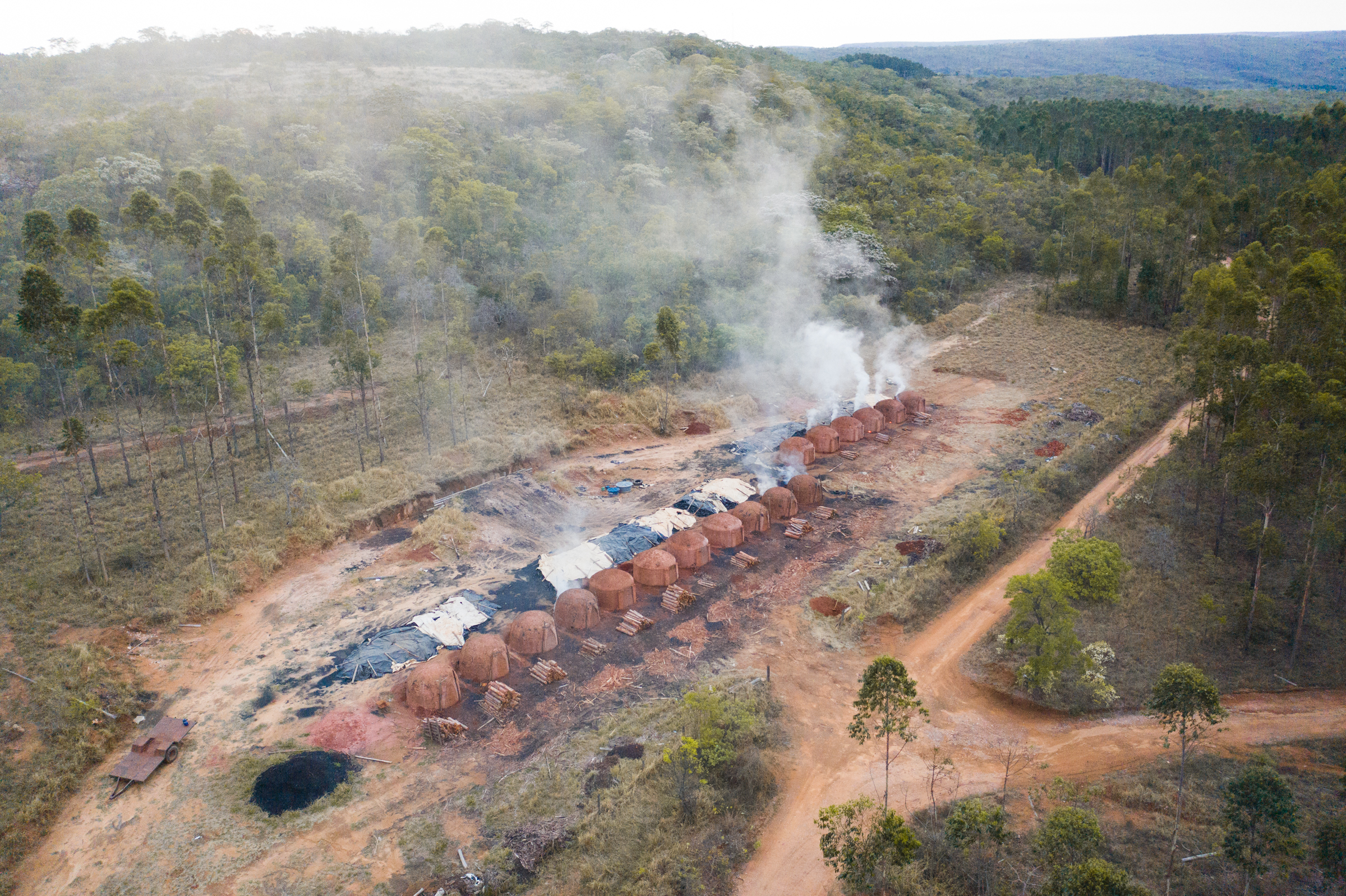 Tree plantations have had tremendous environmental and social impacts on the central-northern region of Minas Gerais since the 1980’s and, more recently, along the Espinhaço Mountains. Creation and maintenance of these plantations typically involves the suppression of native vegetation and deprives wildlife of the resources and basic habitats they require.