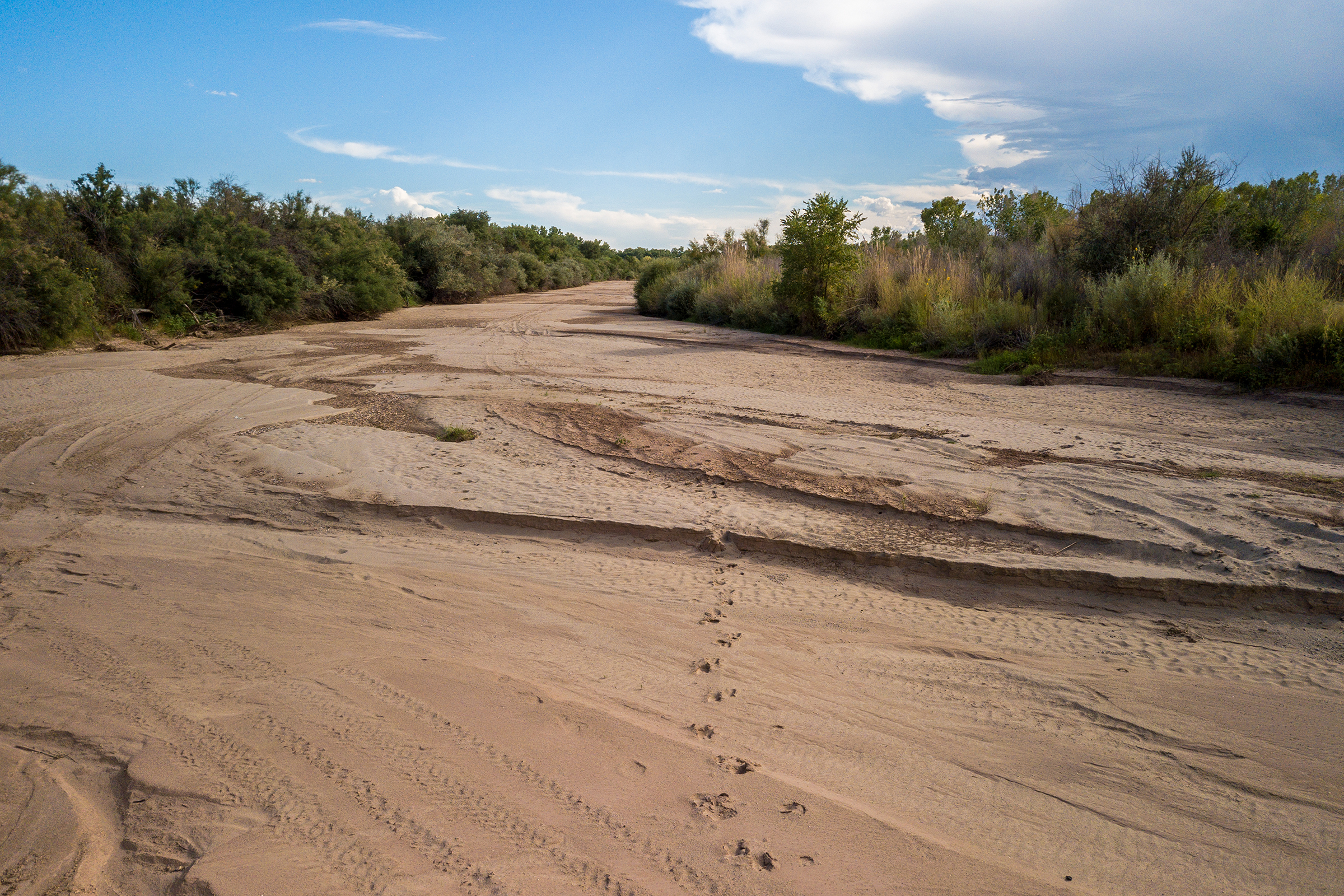 The middle Rio Grande periodically runs dry due to decreased snow pack in the mountains, long-term drought, and increasing demand.