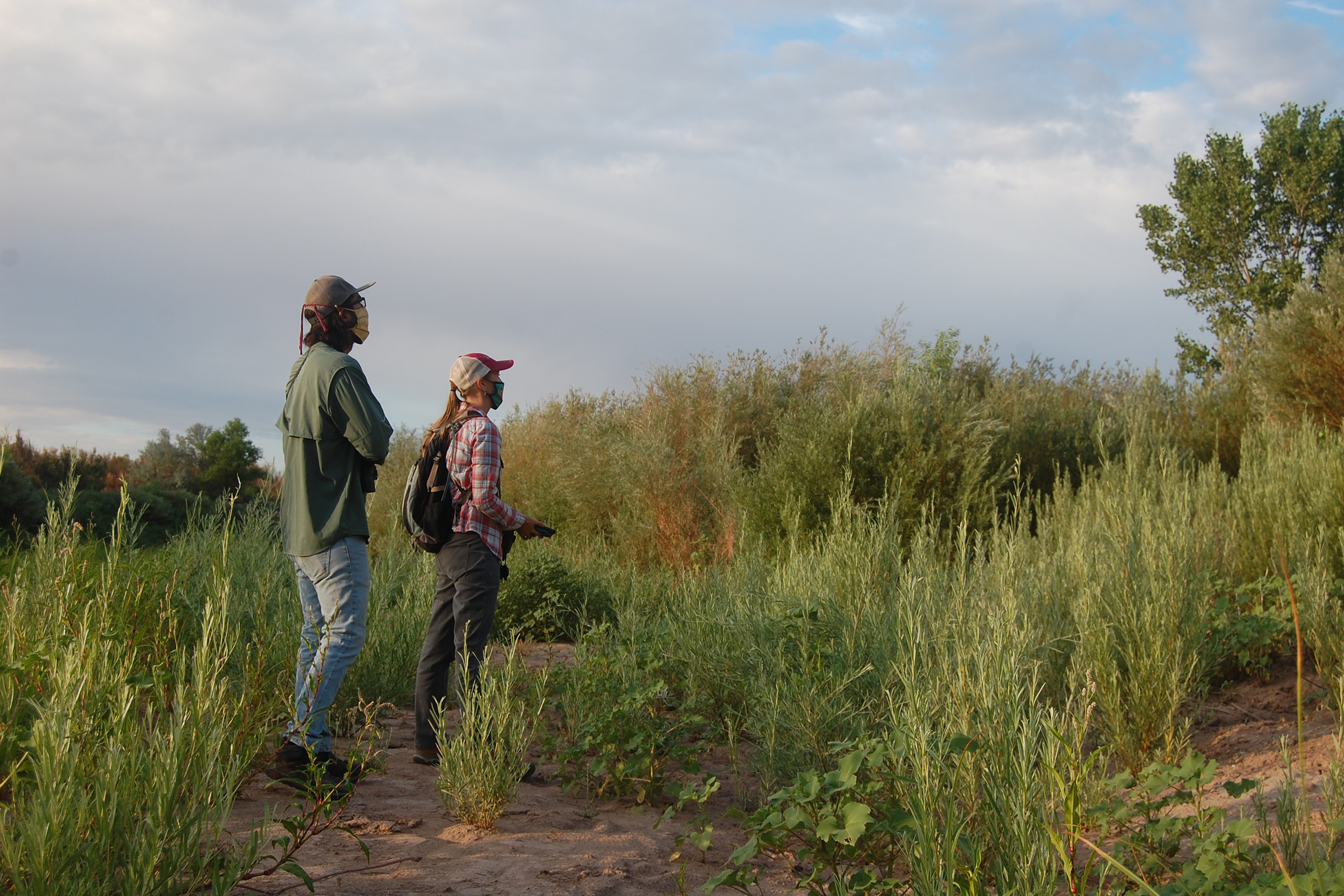 Audubon biologist Amy Erickson (right) and Audubon center assistant Mario Garcia listen intently for the response call of the endangered southwestern willow flycatcher.